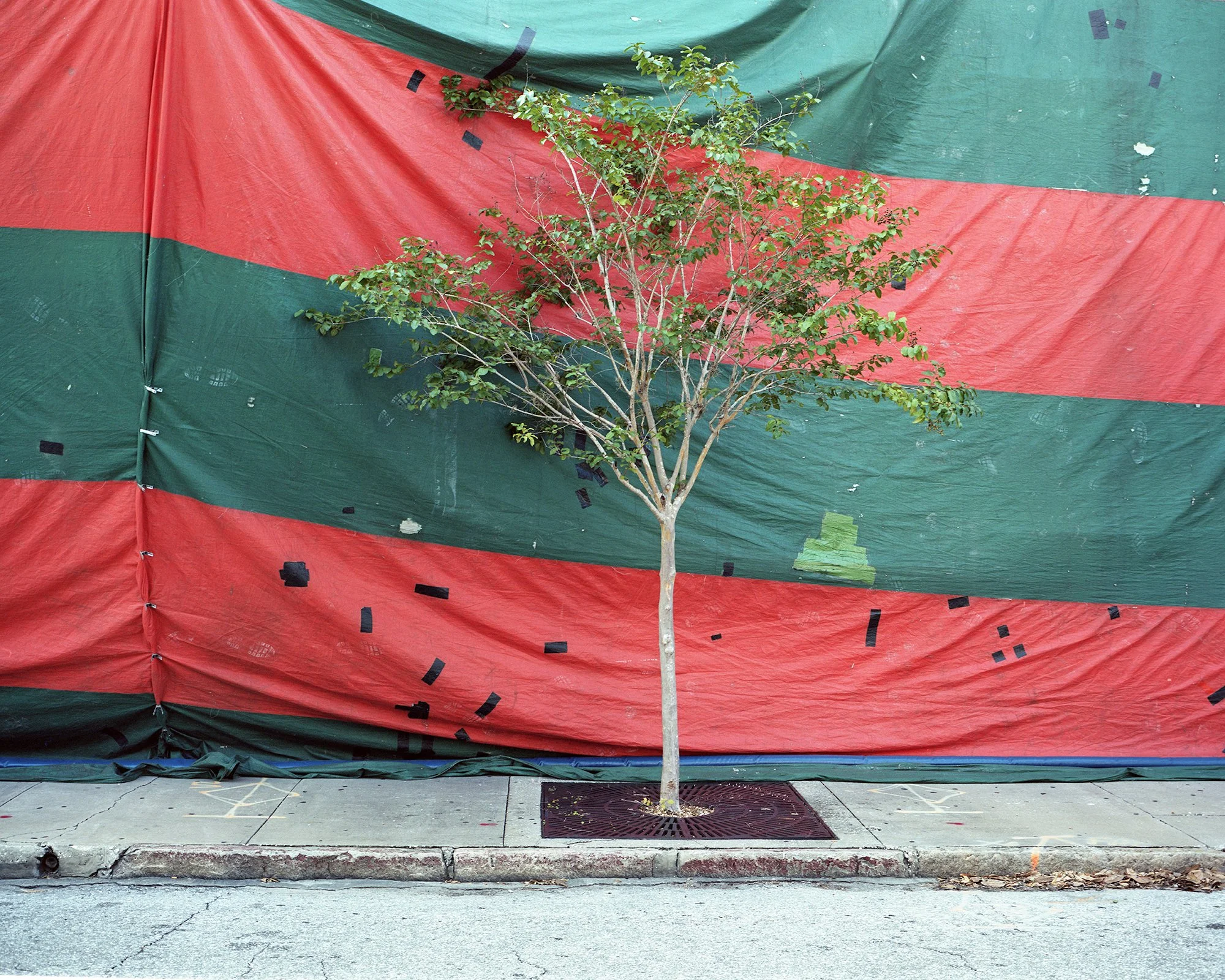 ybor_tent_orange.jpg