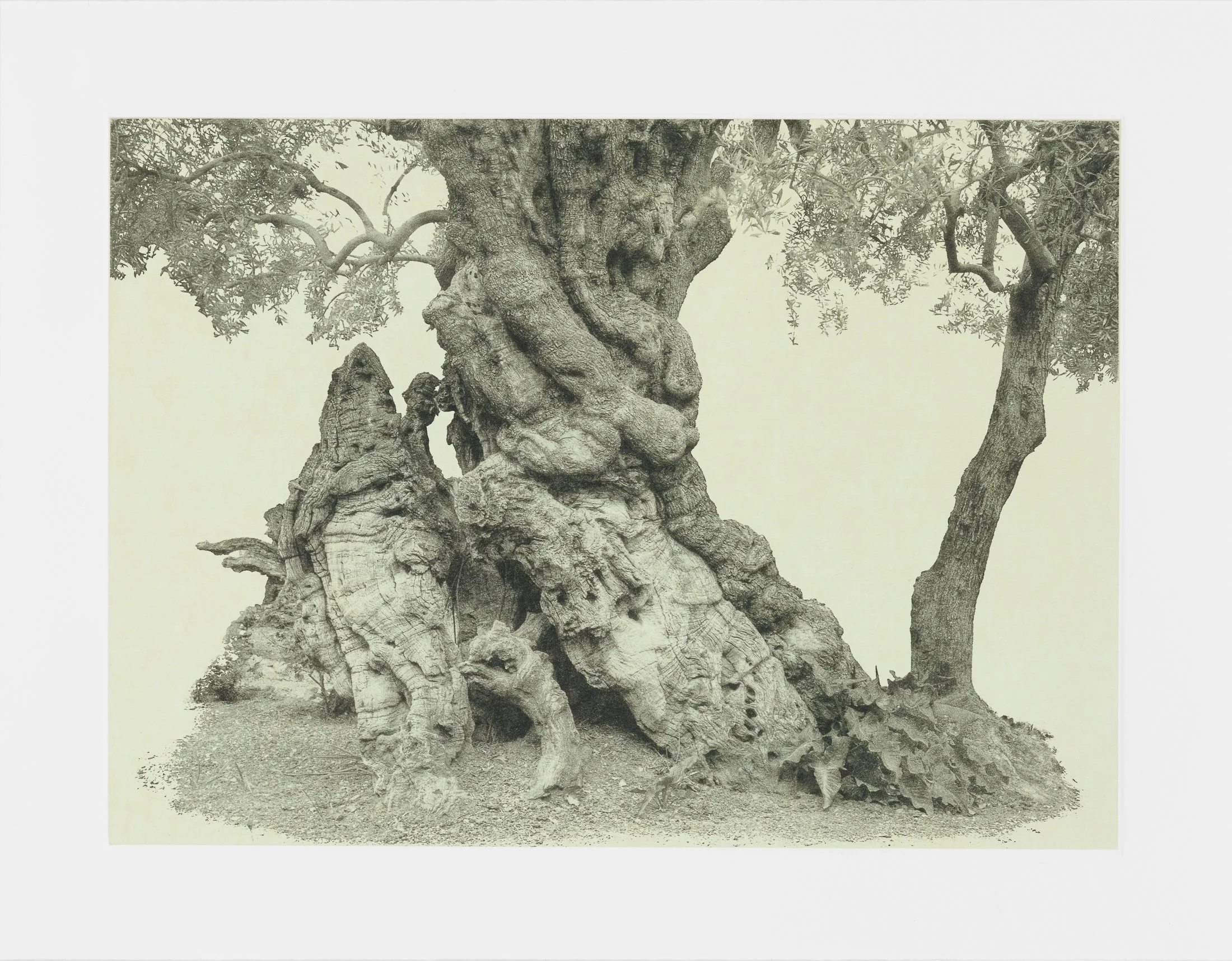 gethsemane-21.jpg