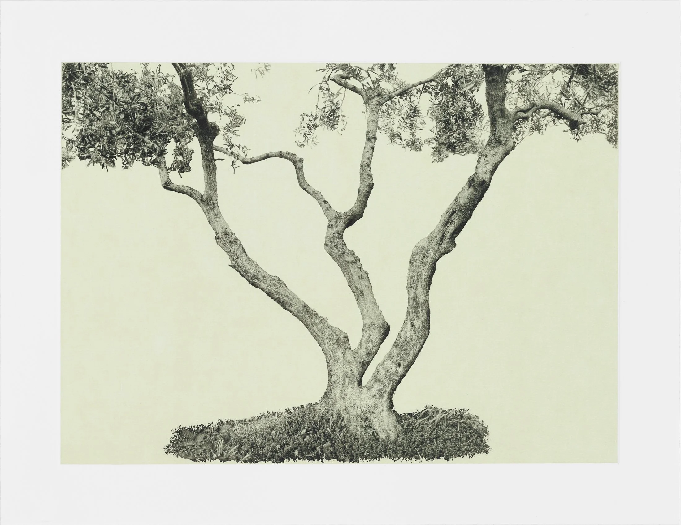 gethsemane-4.jpg