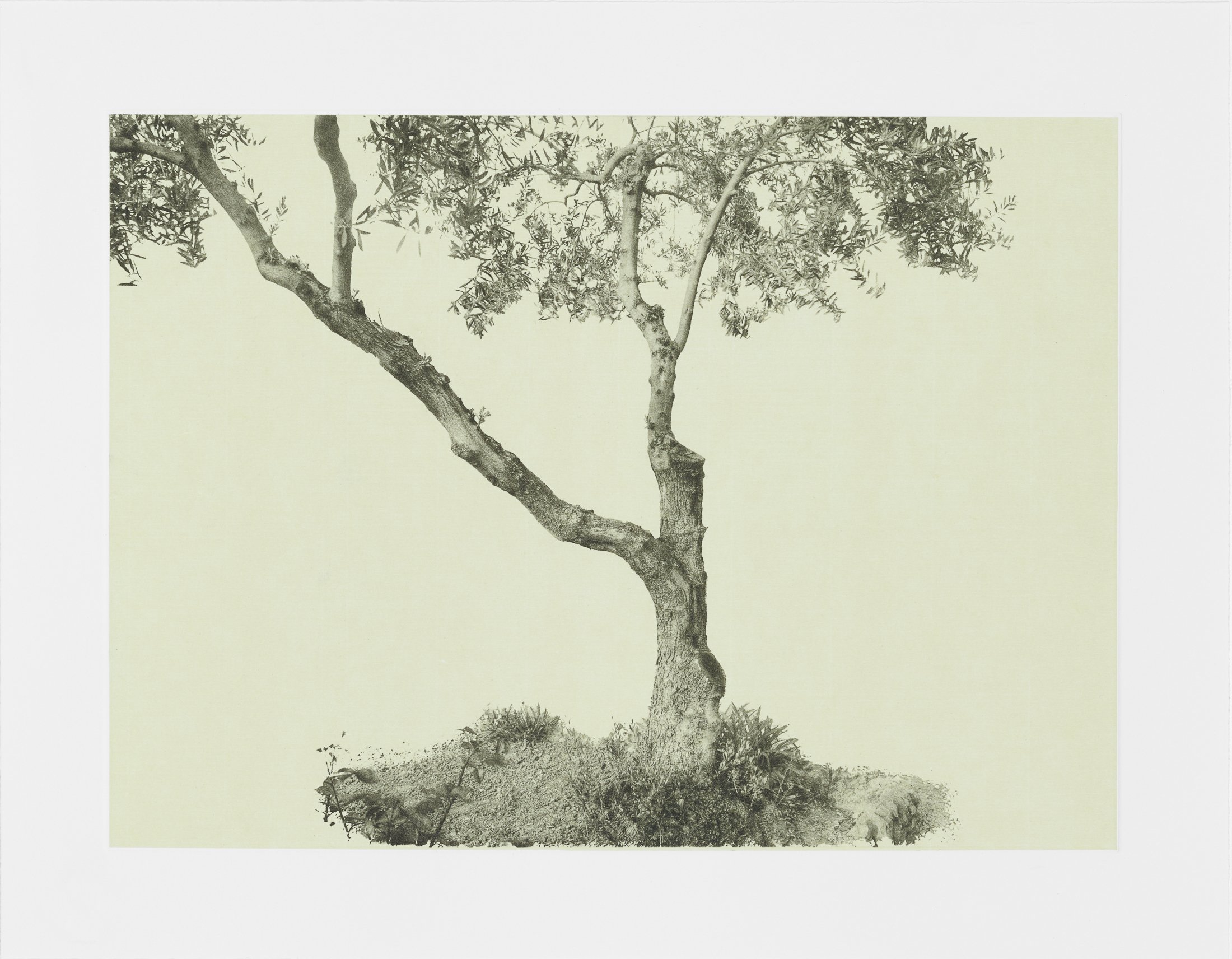 gethsemane-9.jpg