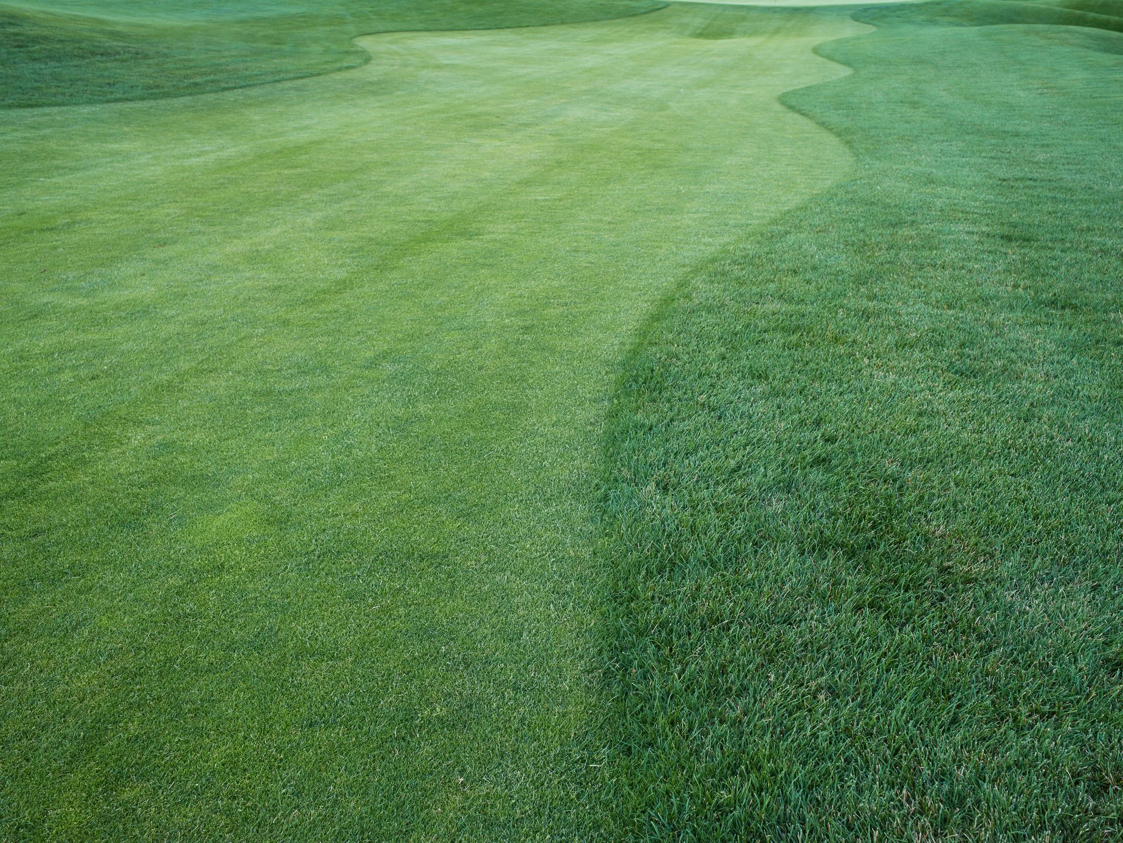landscape_interrupted-11.jpg