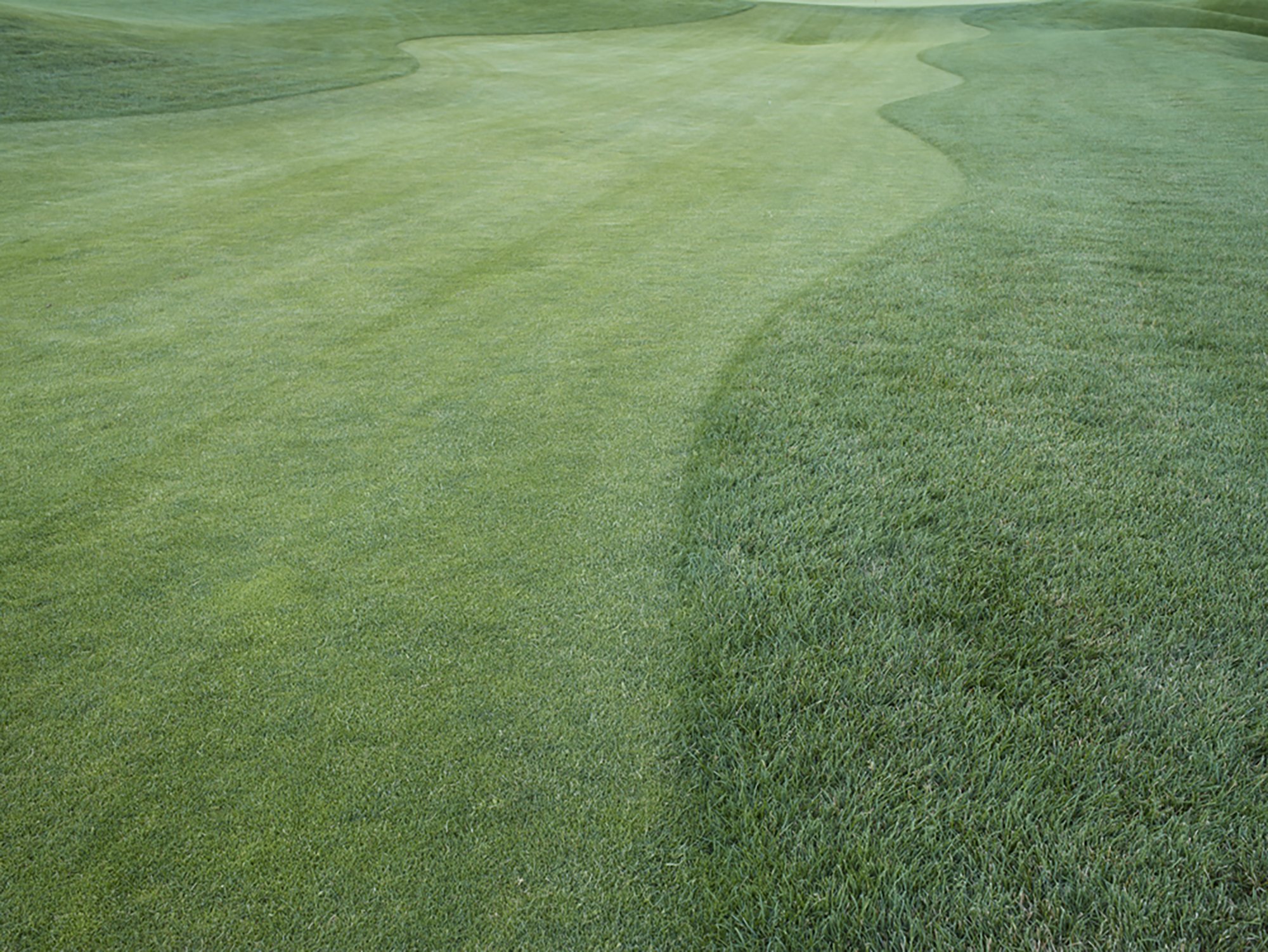 golf.jpg