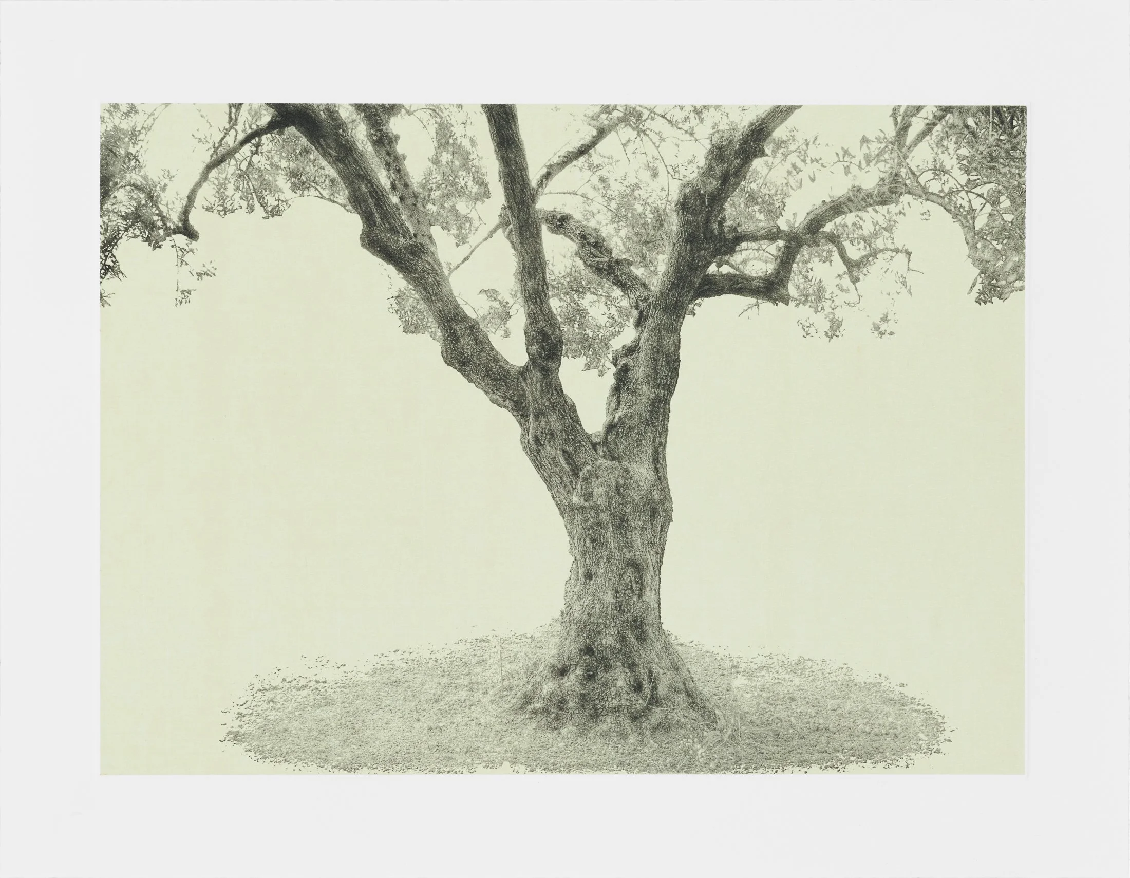 gethsemane-7.jpg