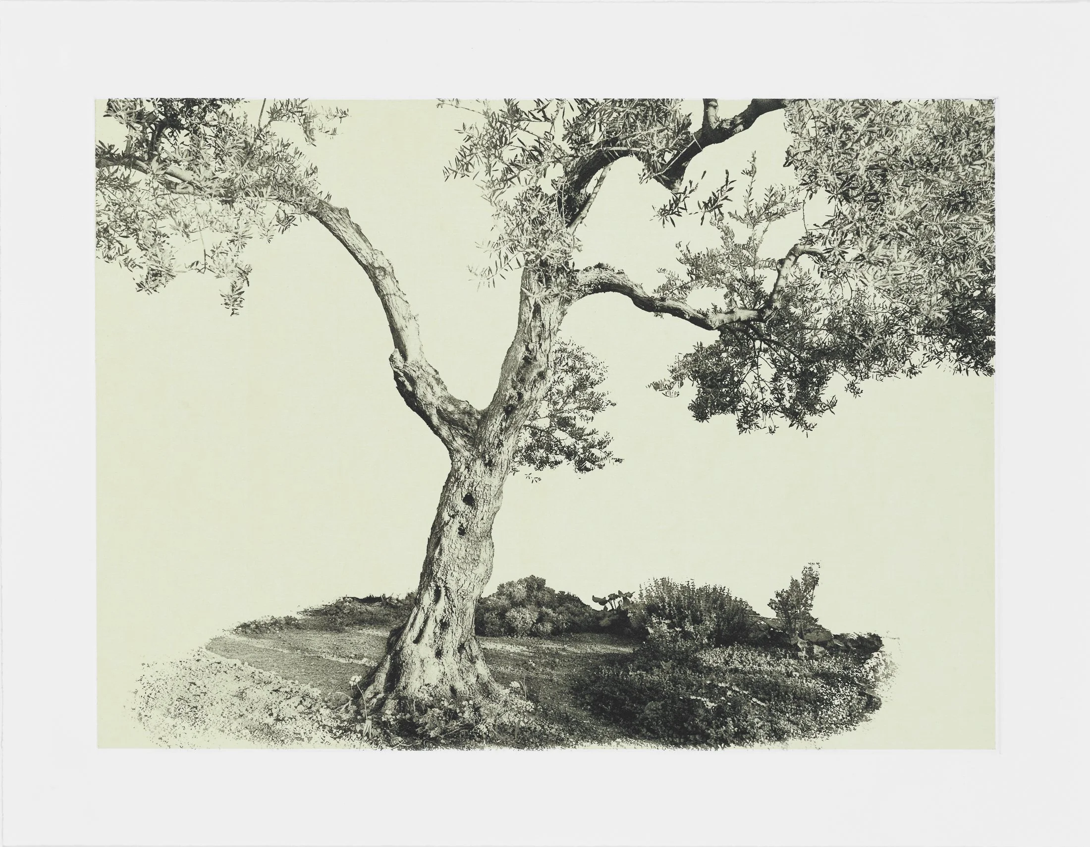 gethsemane.jpg