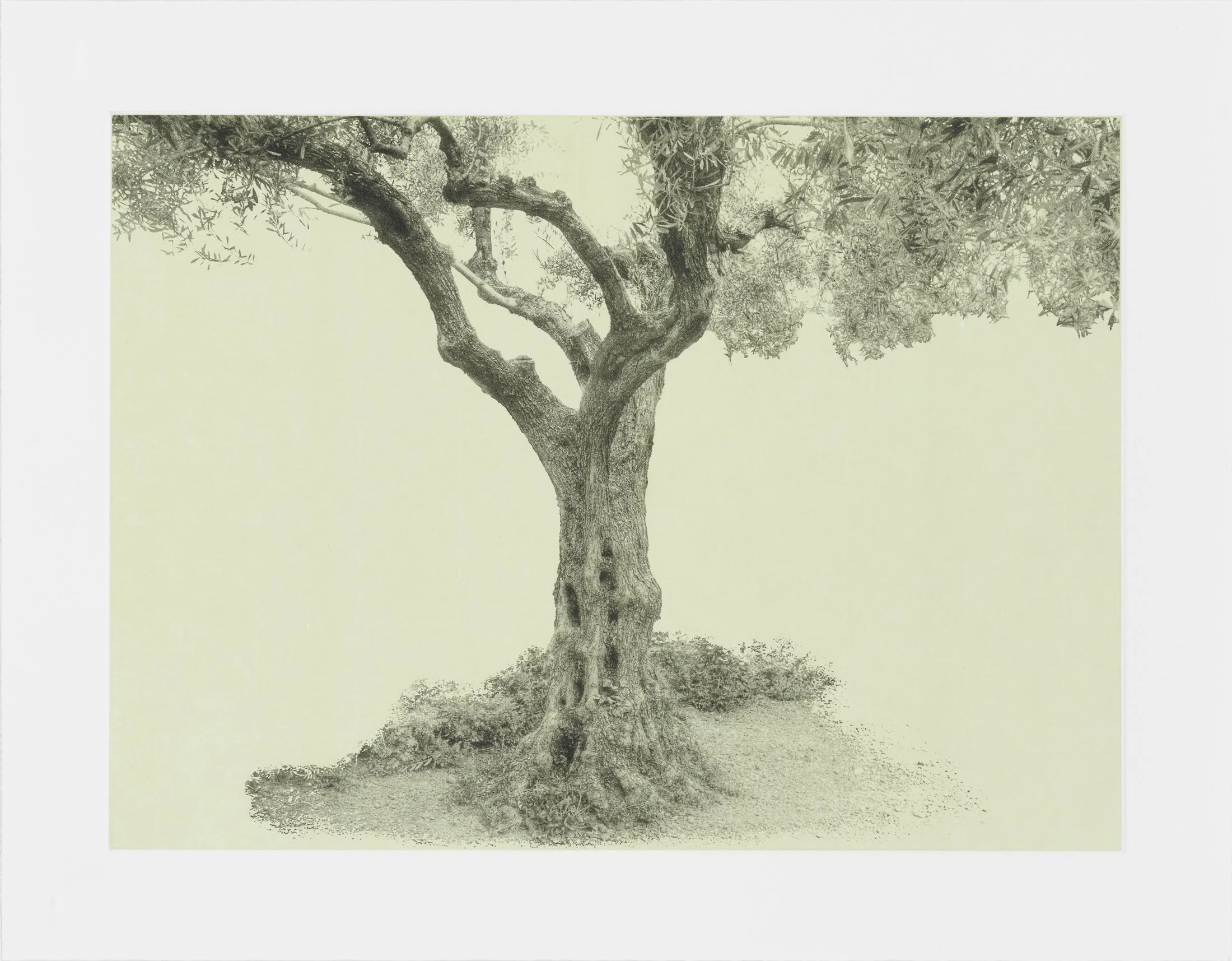 gethsemane-22.jpg