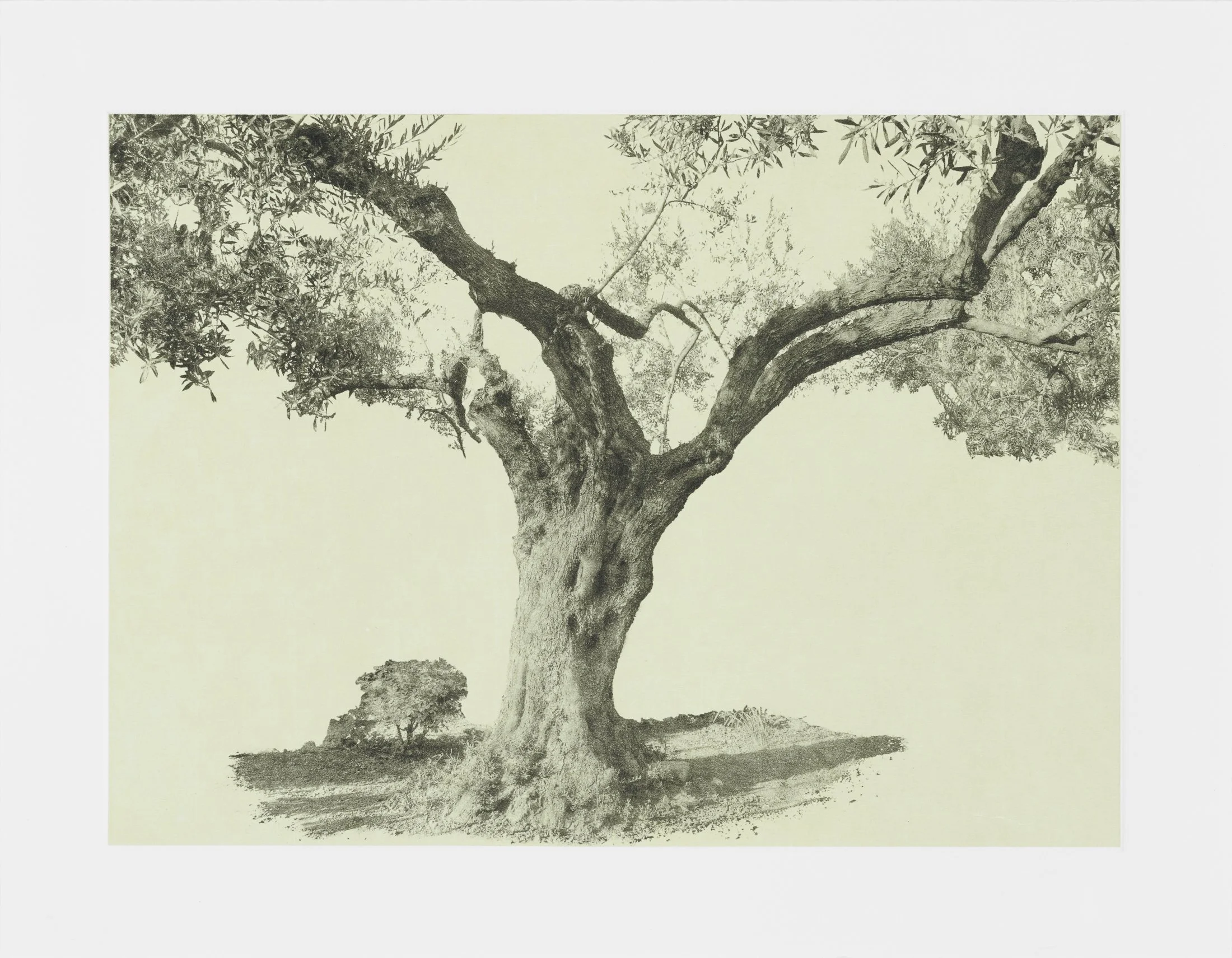 gethsemane-16.jpg