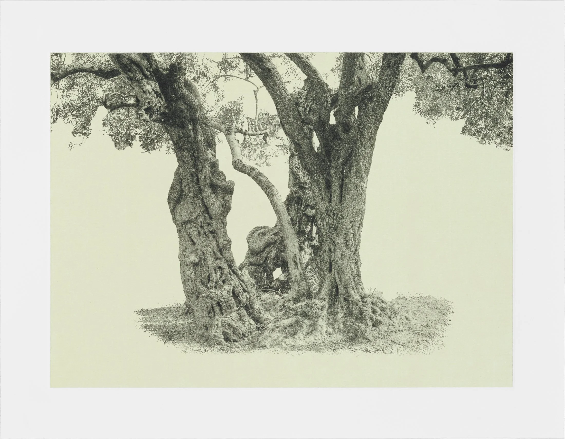gethsemane-10.jpg