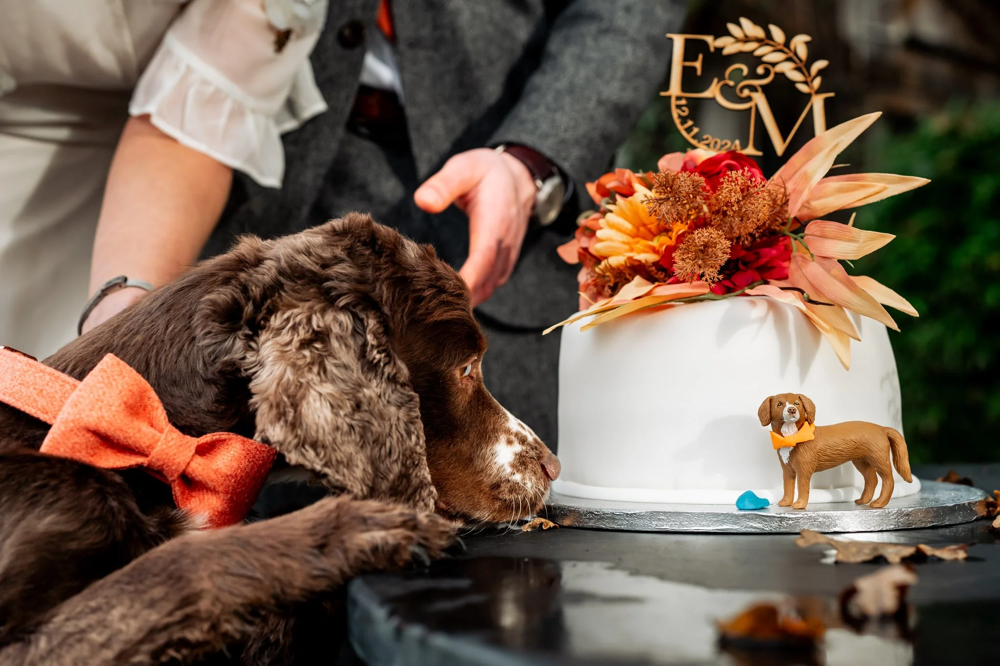 EricaMatt2024-159-elopement-photographer-devon-Rebecca-Roundhill-Photography.jpg