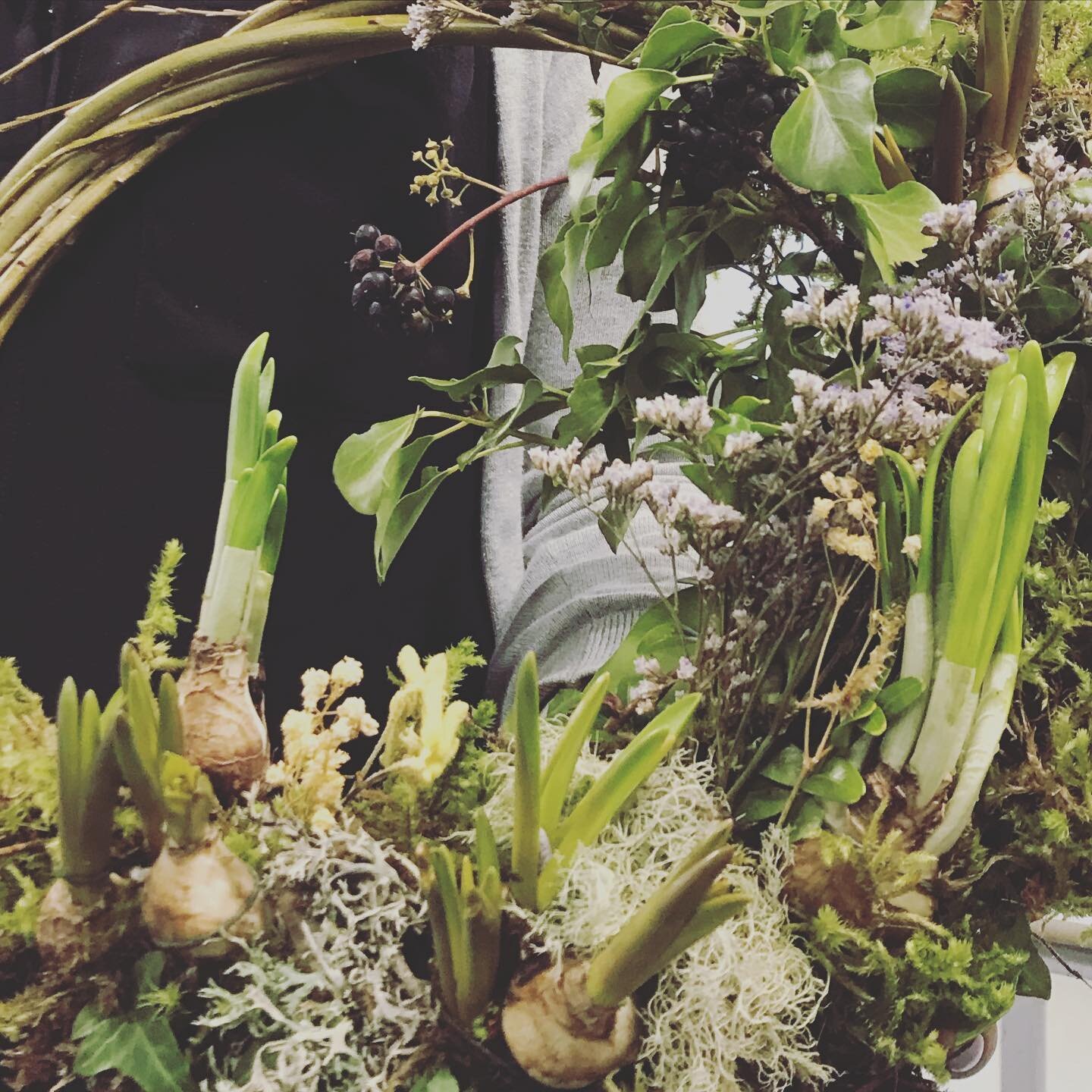 Spring wreaths with flowering bulbs workshop! I&rsquo;m running an afternoon and an evening workshop this Wednesday coming (29th March) in braemar village hall. Sorry for late notice but I hope a few can make it along.. I&rsquo;m just so excited that