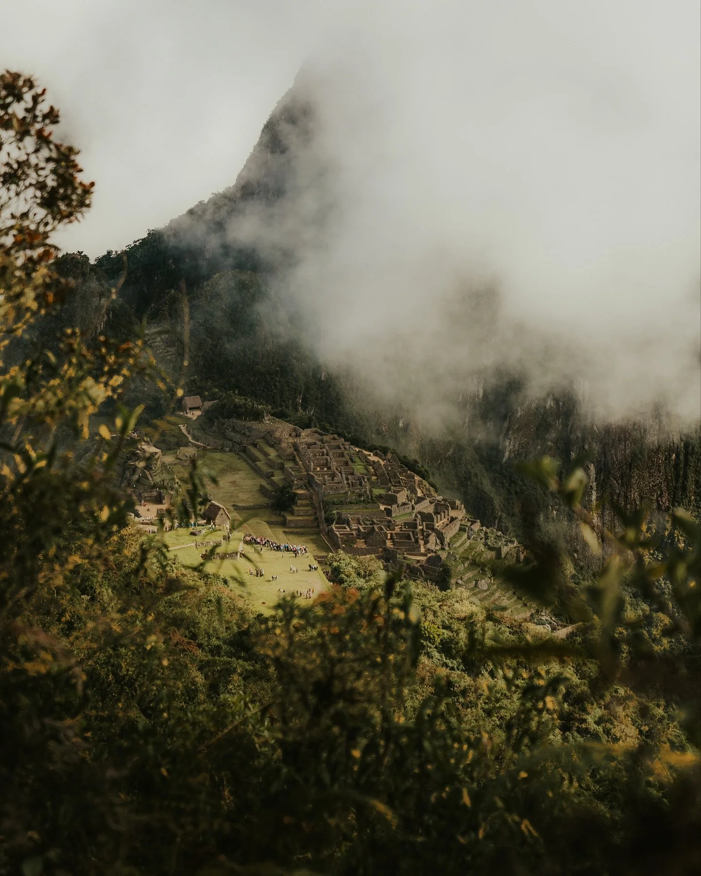 Send moods from 📍Peru 🦙