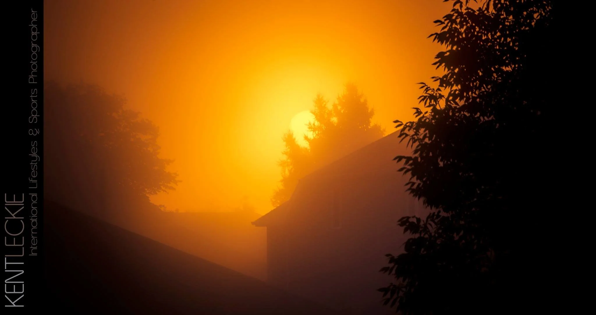 wedding back door.jpeg