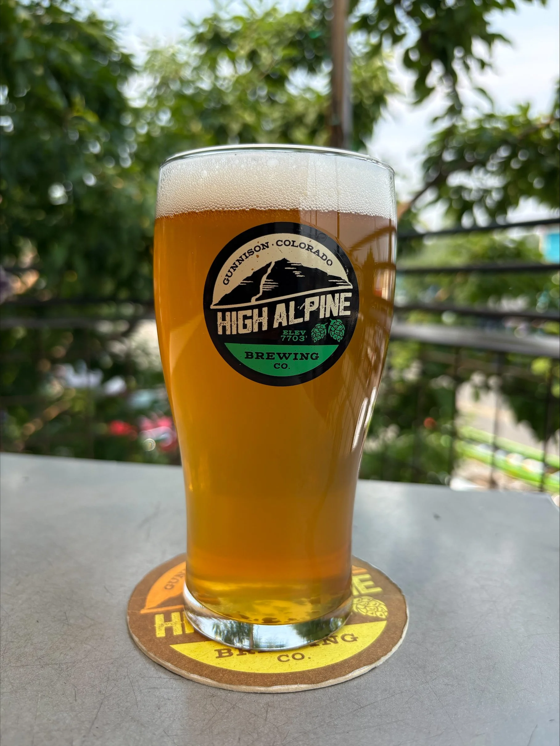 Golden beer in pint glass sitting on metal table in front of a leafy tree