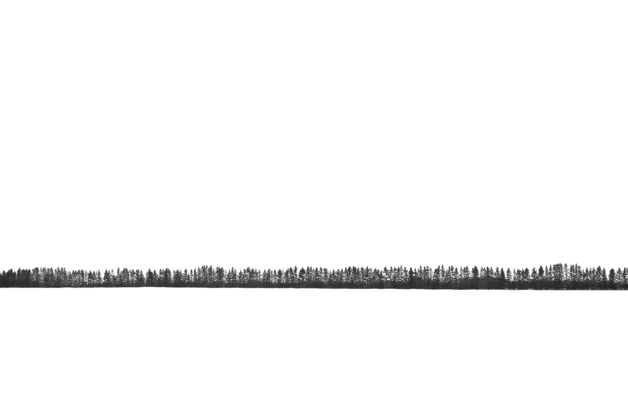 Minimalist Trees