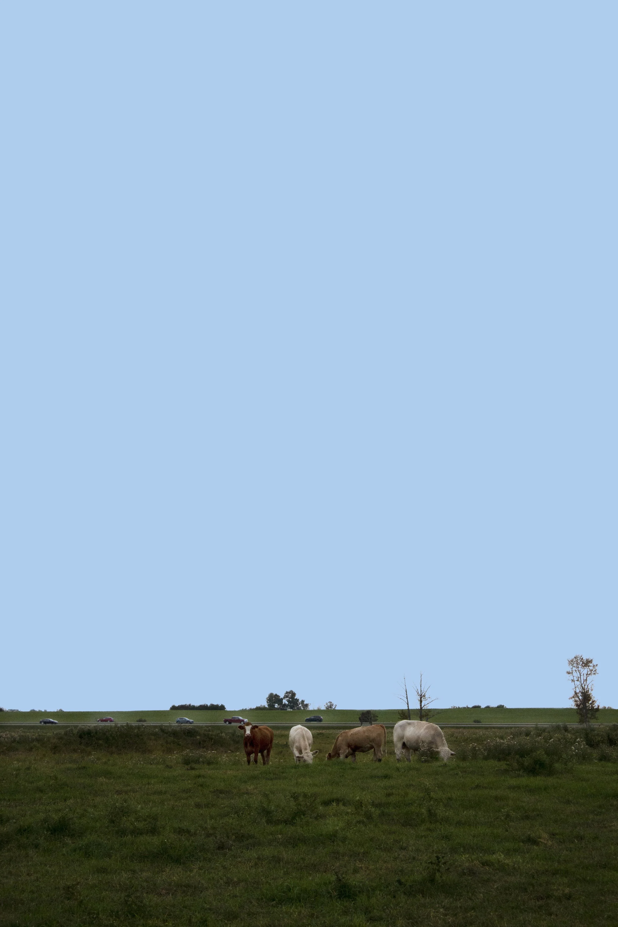 EK_Home_6.jpg