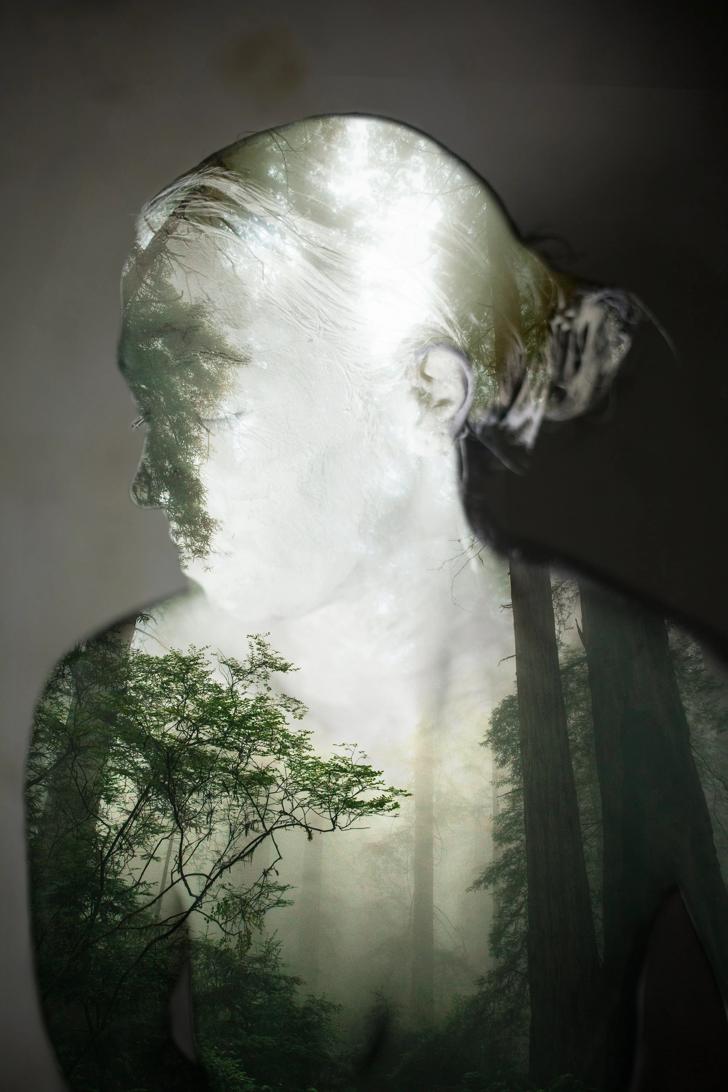 Tayan-digital-photo-Mist-of-Me.jpg