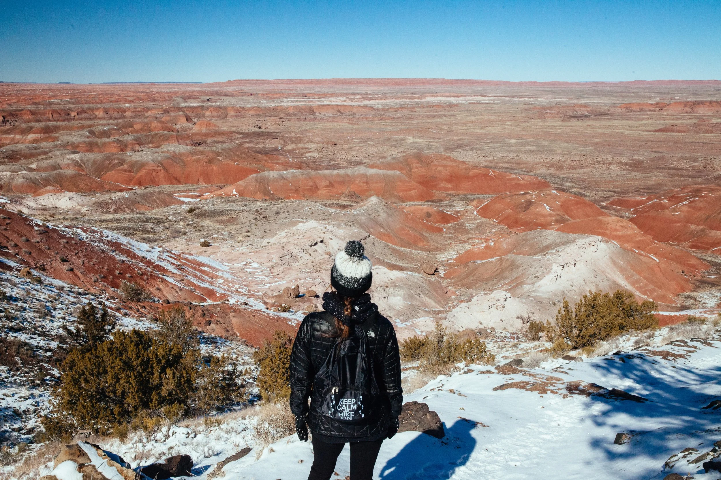 The Painted Desert and Petrified Forest National Park in Winter