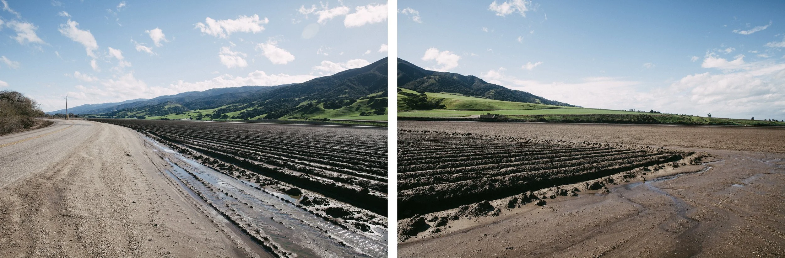 Cali-vineyard-combo.jpg