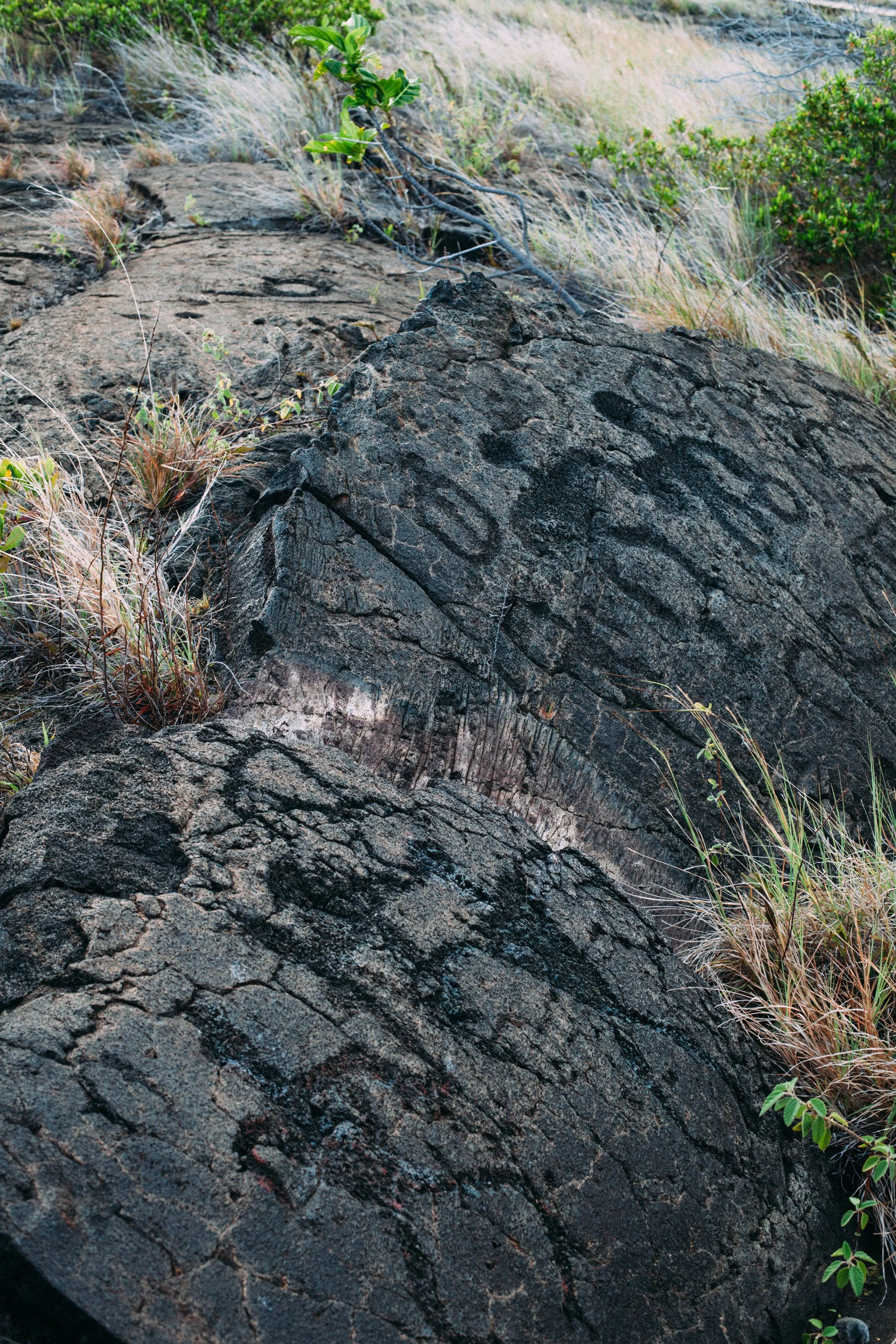 hawaii-sm-3.jpg