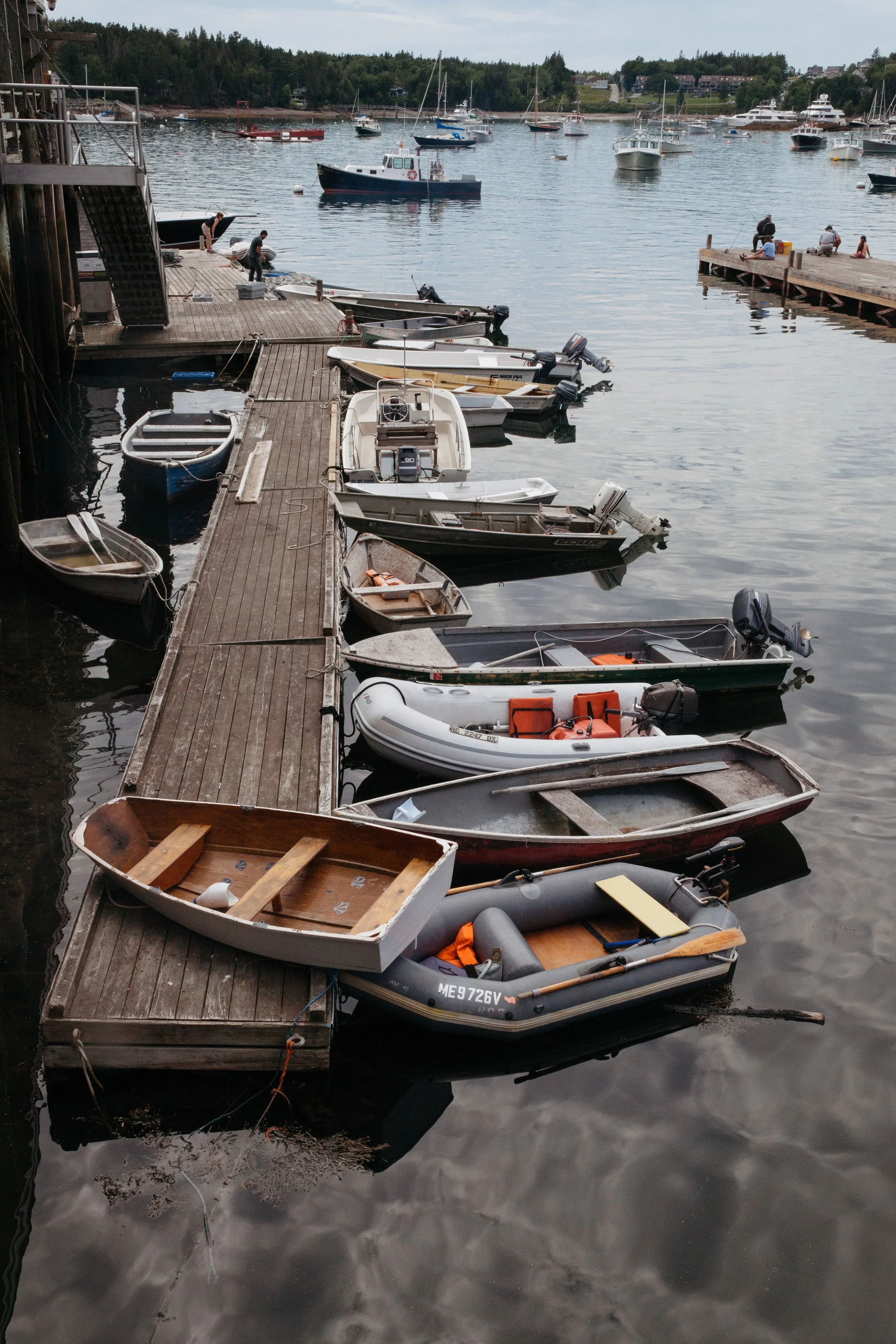 Maine-5.jpg