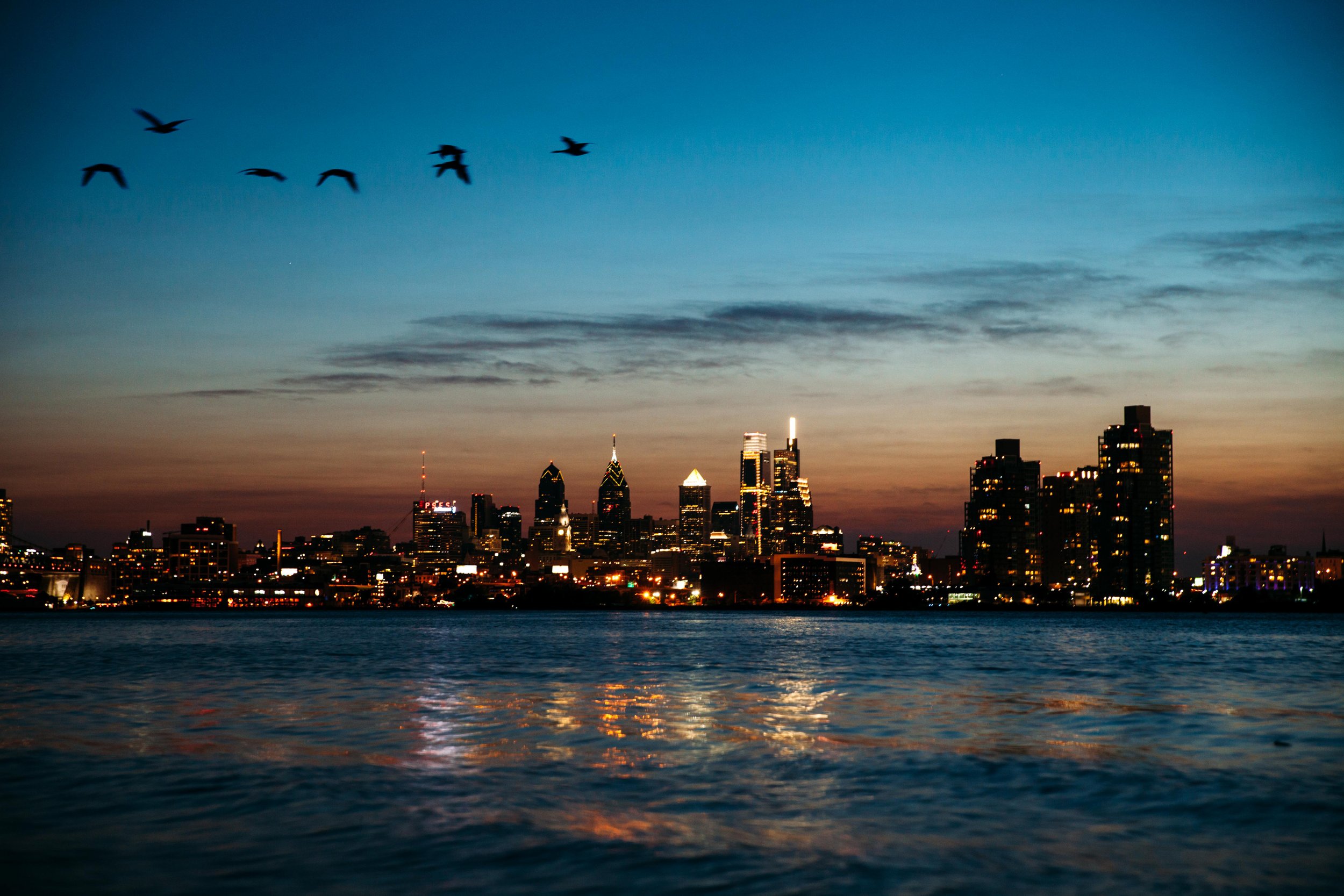 Tayan-Philadelphia-Lights-Geese.jpg