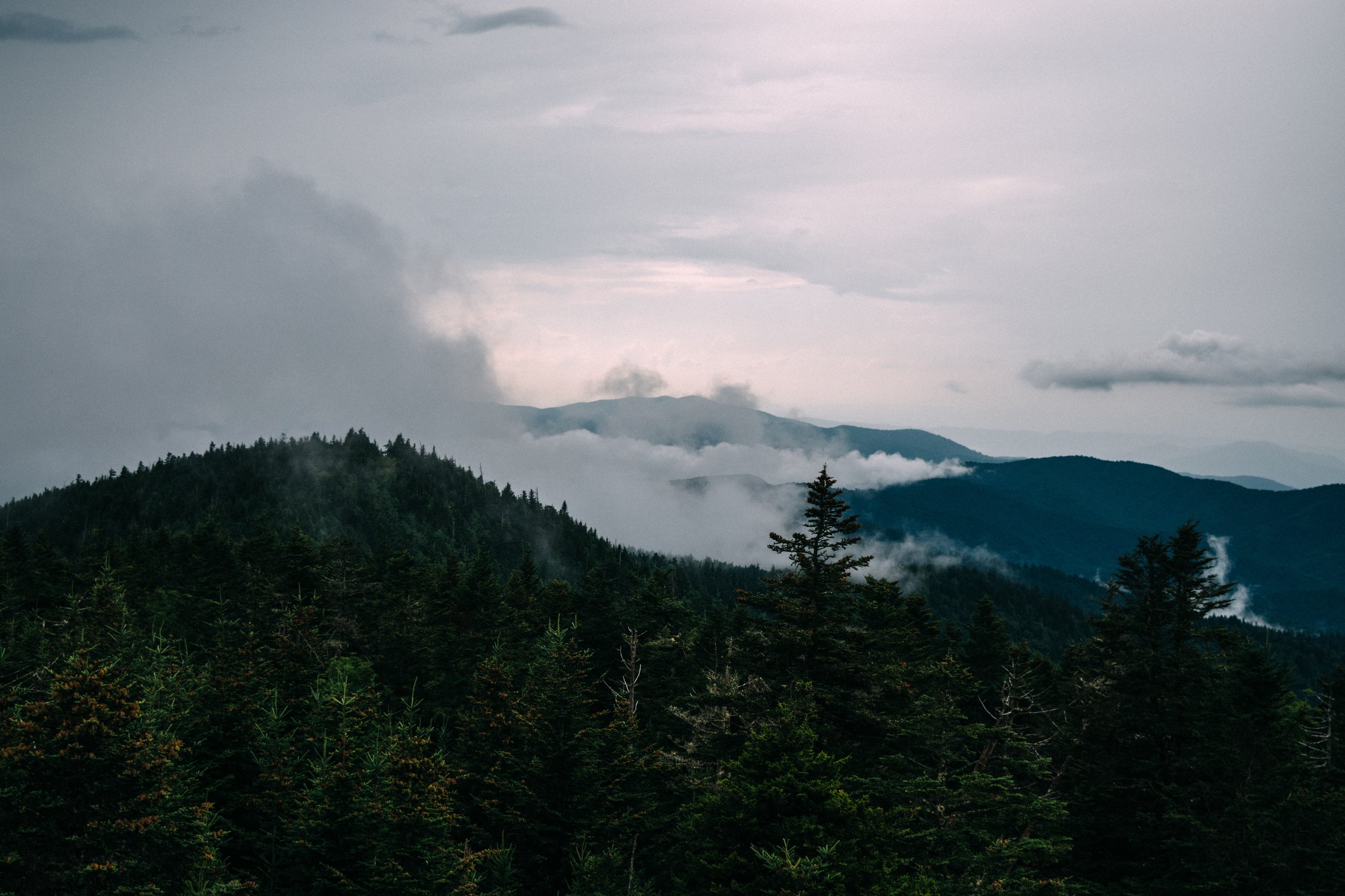 smoky-mountains-july-2025-11.jpg