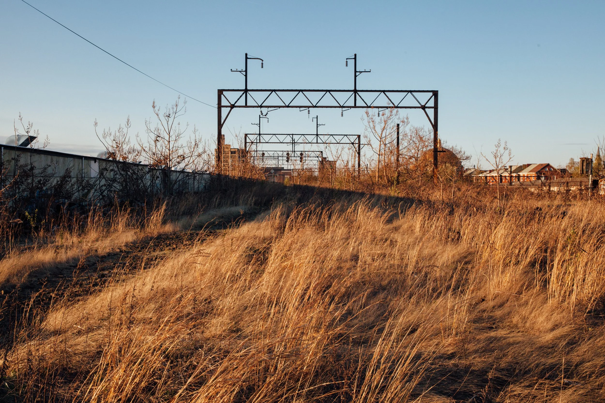 Tayan-digital-photograph-Viaduct-Fields.jpg