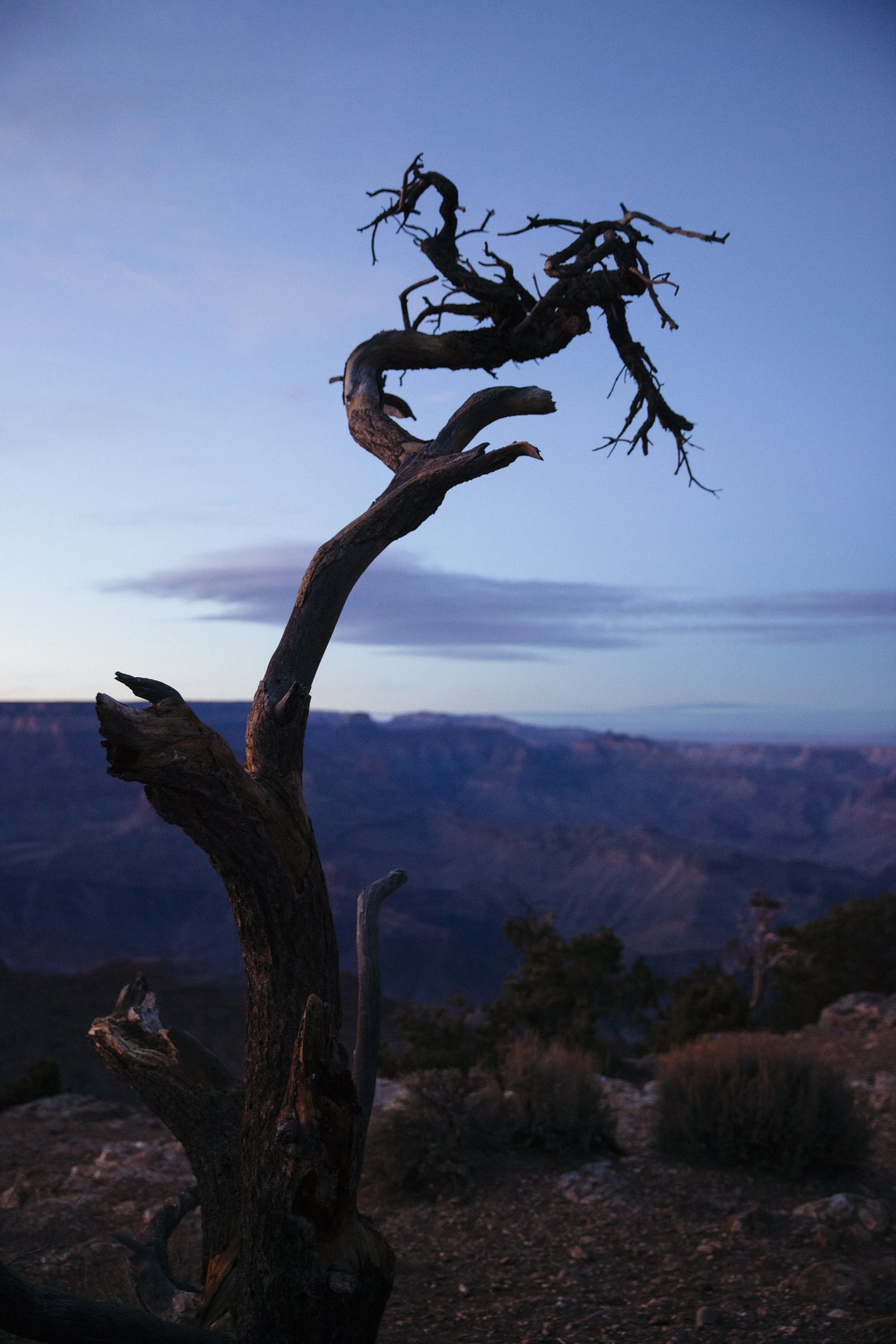 arizona-73.jpg