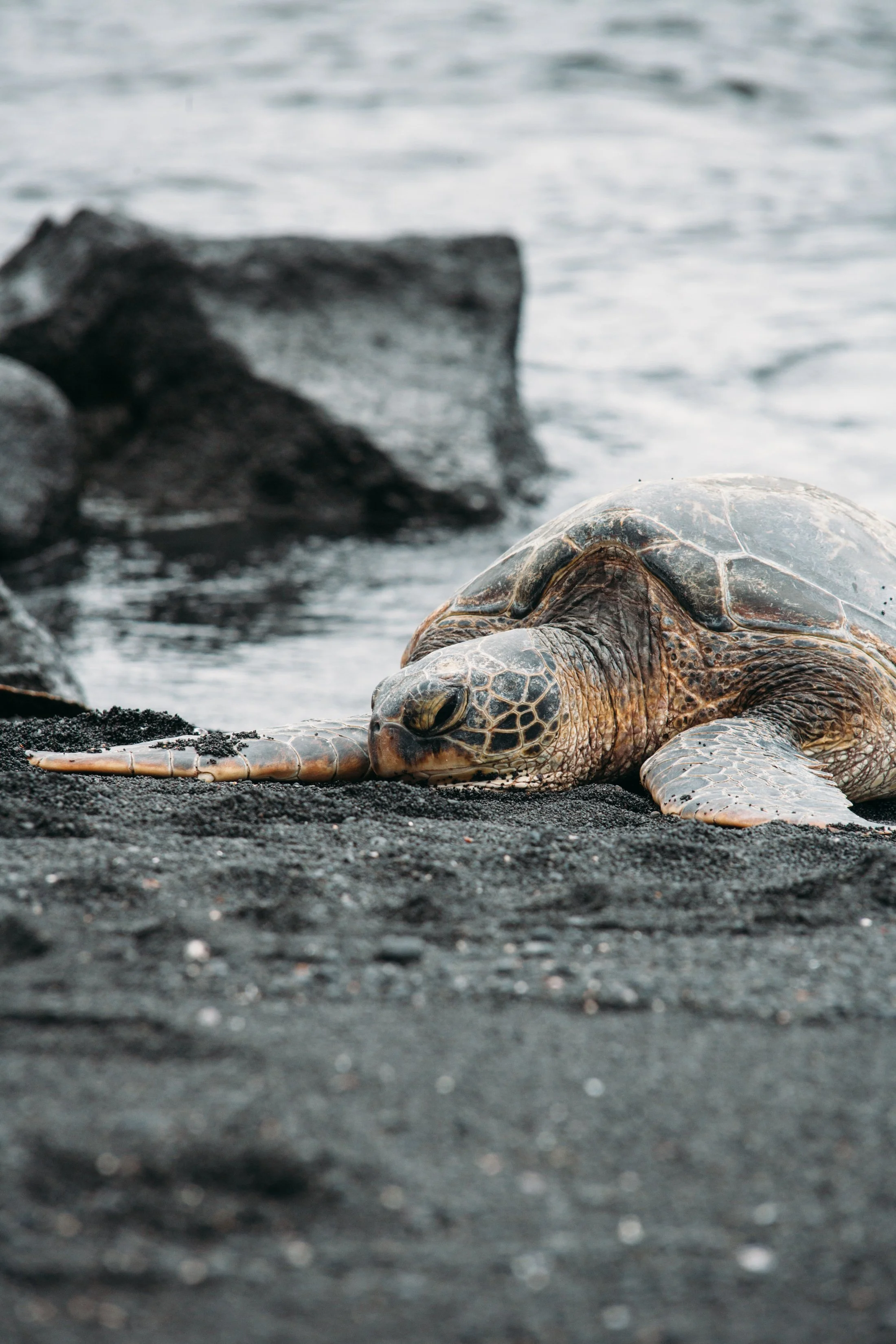 hawaii-2019-1.jpg