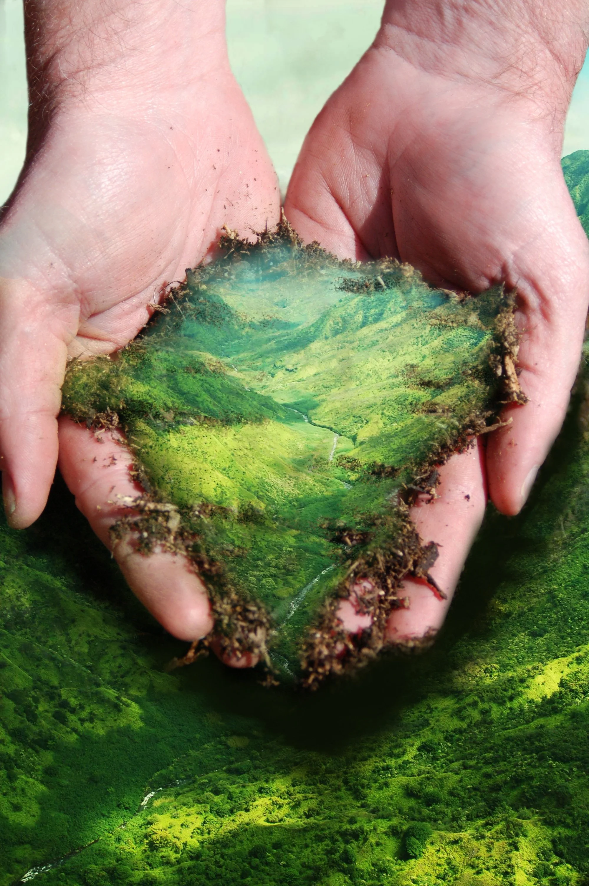 hand and dirt - 00332.jpg