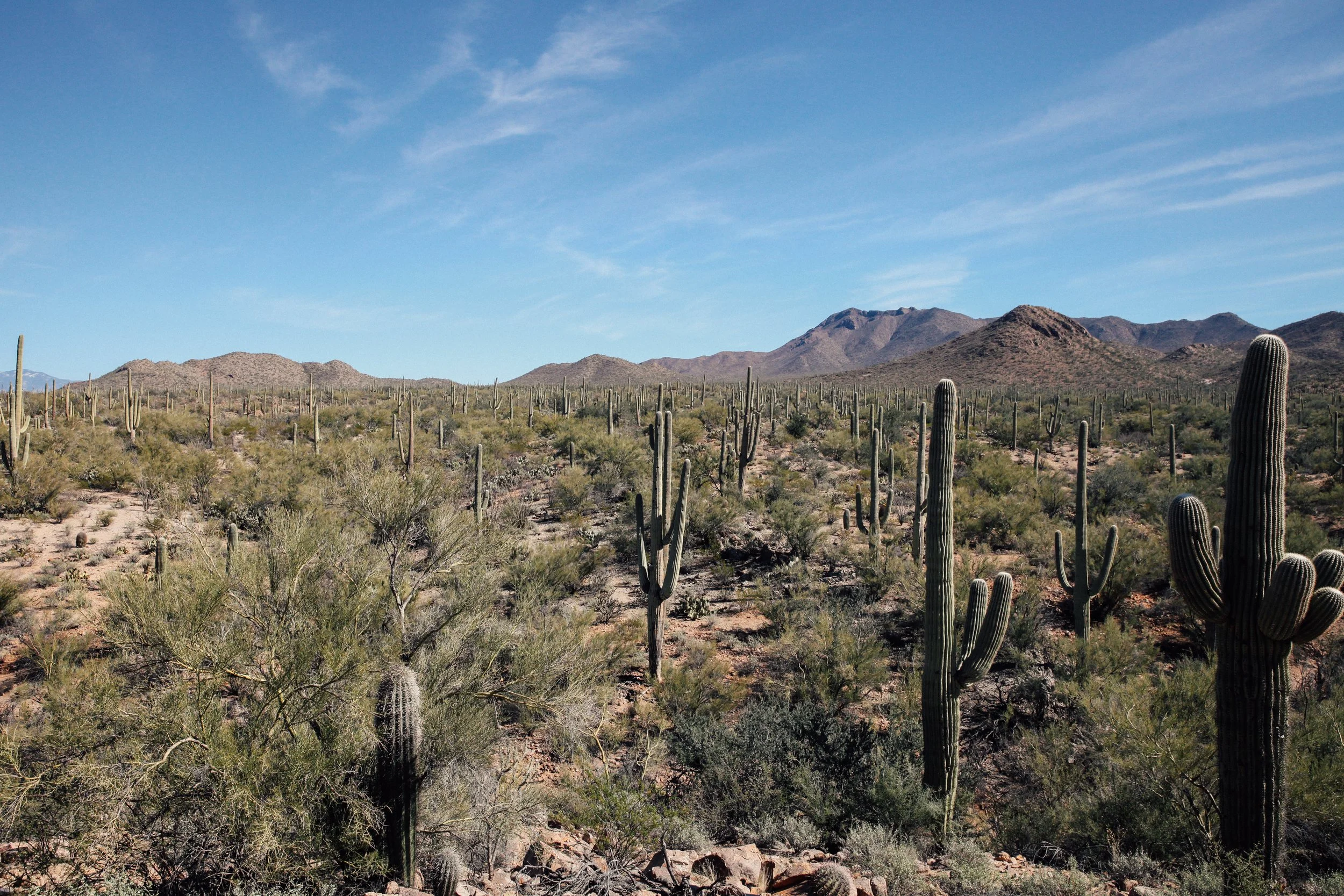 Tuscon-6.jpg