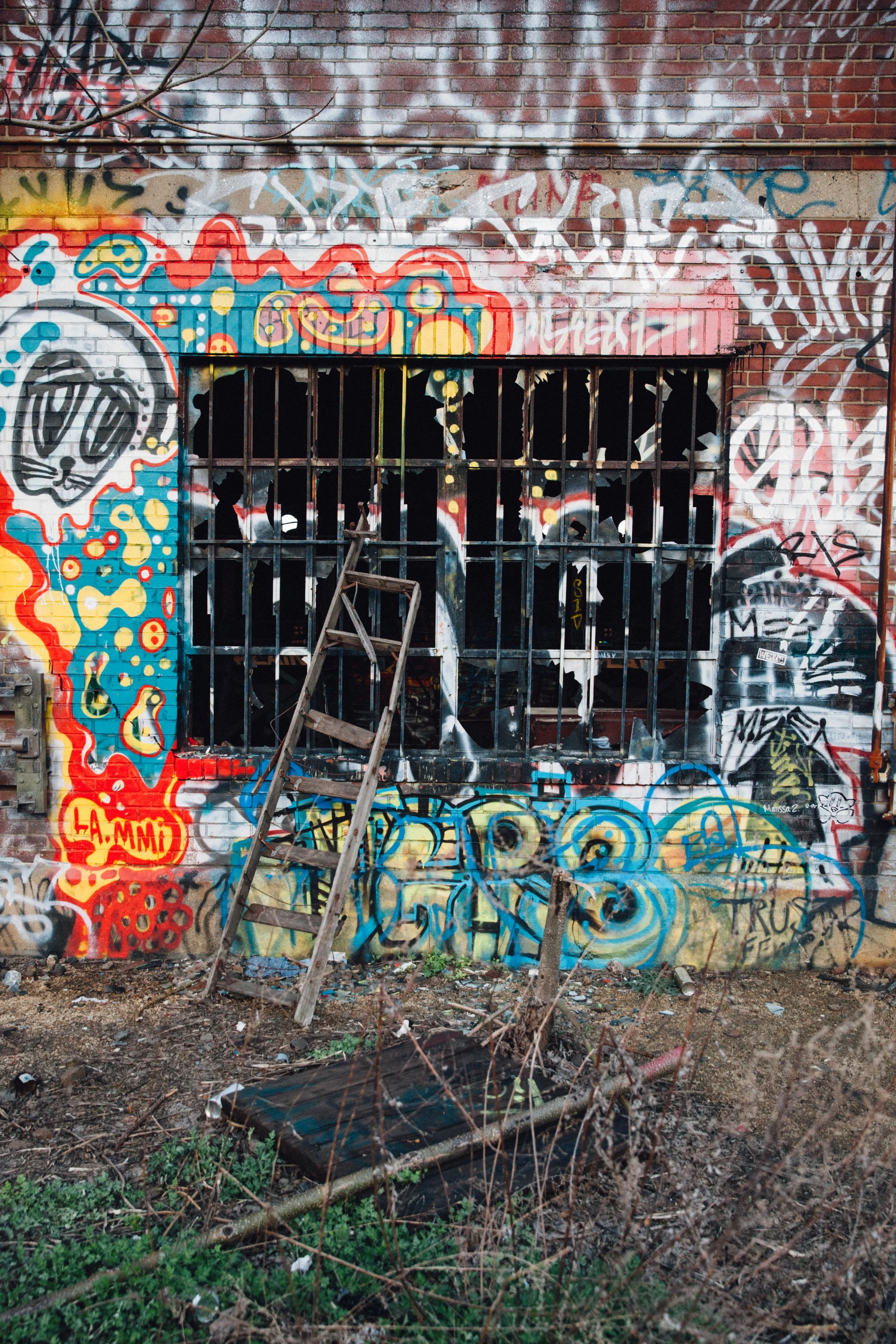 tara-tayan-graffiti-rail-park-philly-1.jpg