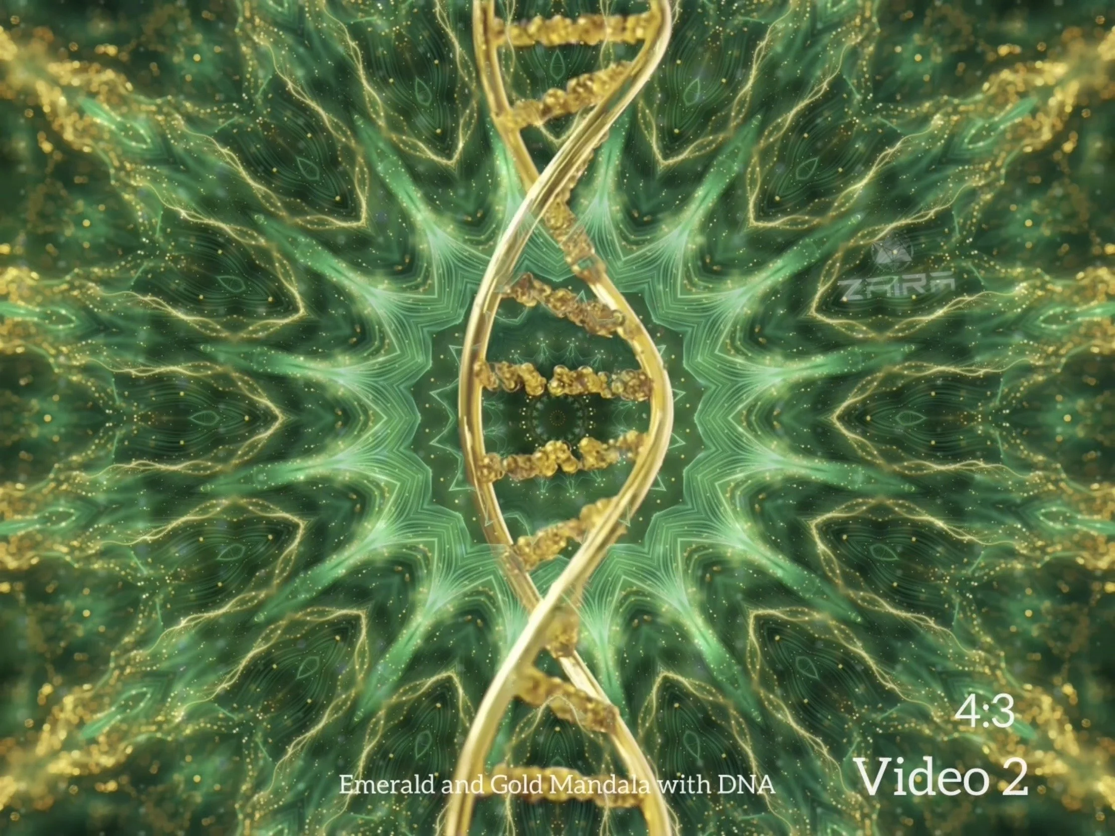 Mandala DNA Video 2.jpg