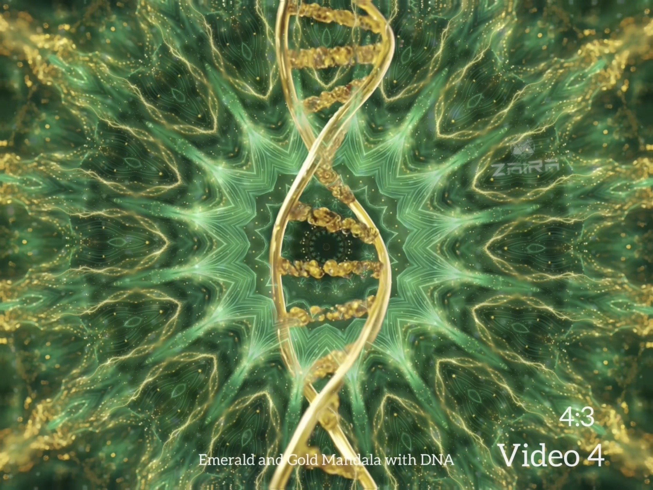Mandala DNA Video 4.jpg