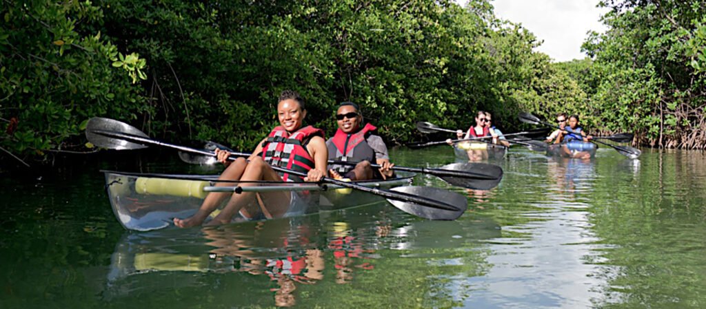 Group clear Kayak Adventures.jpeg