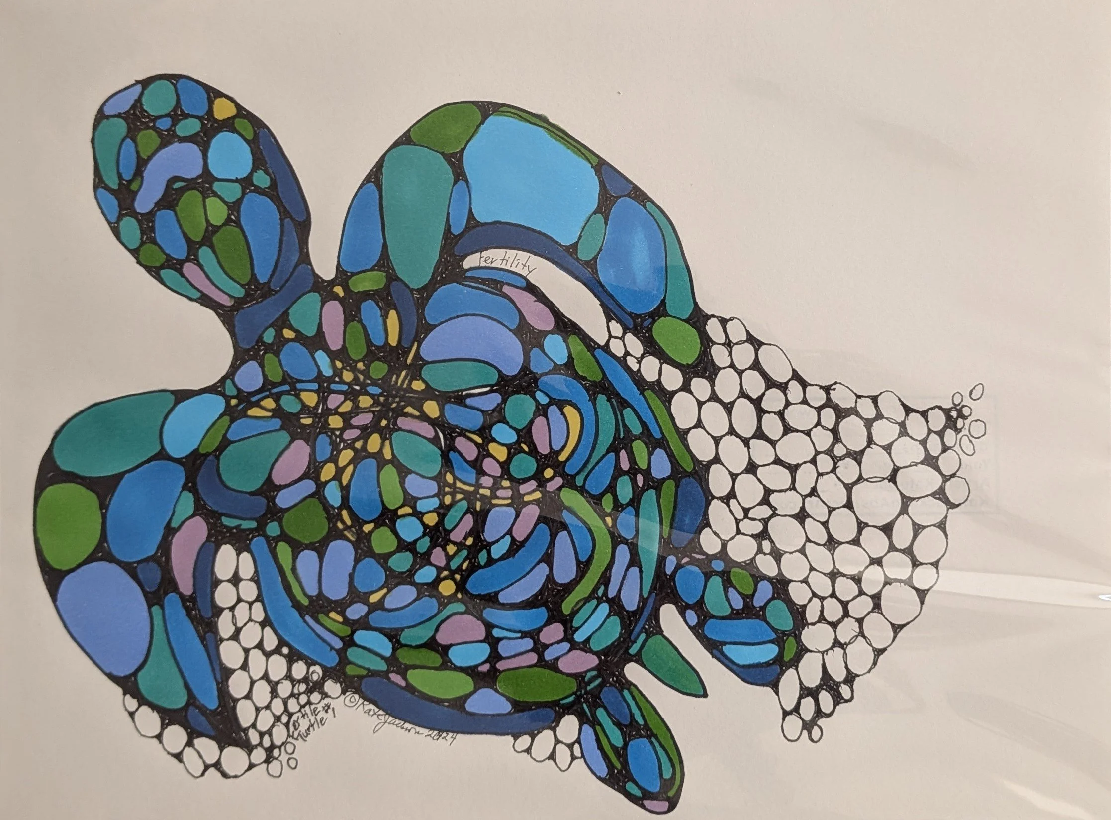 Fertile Turtle #1.jpg