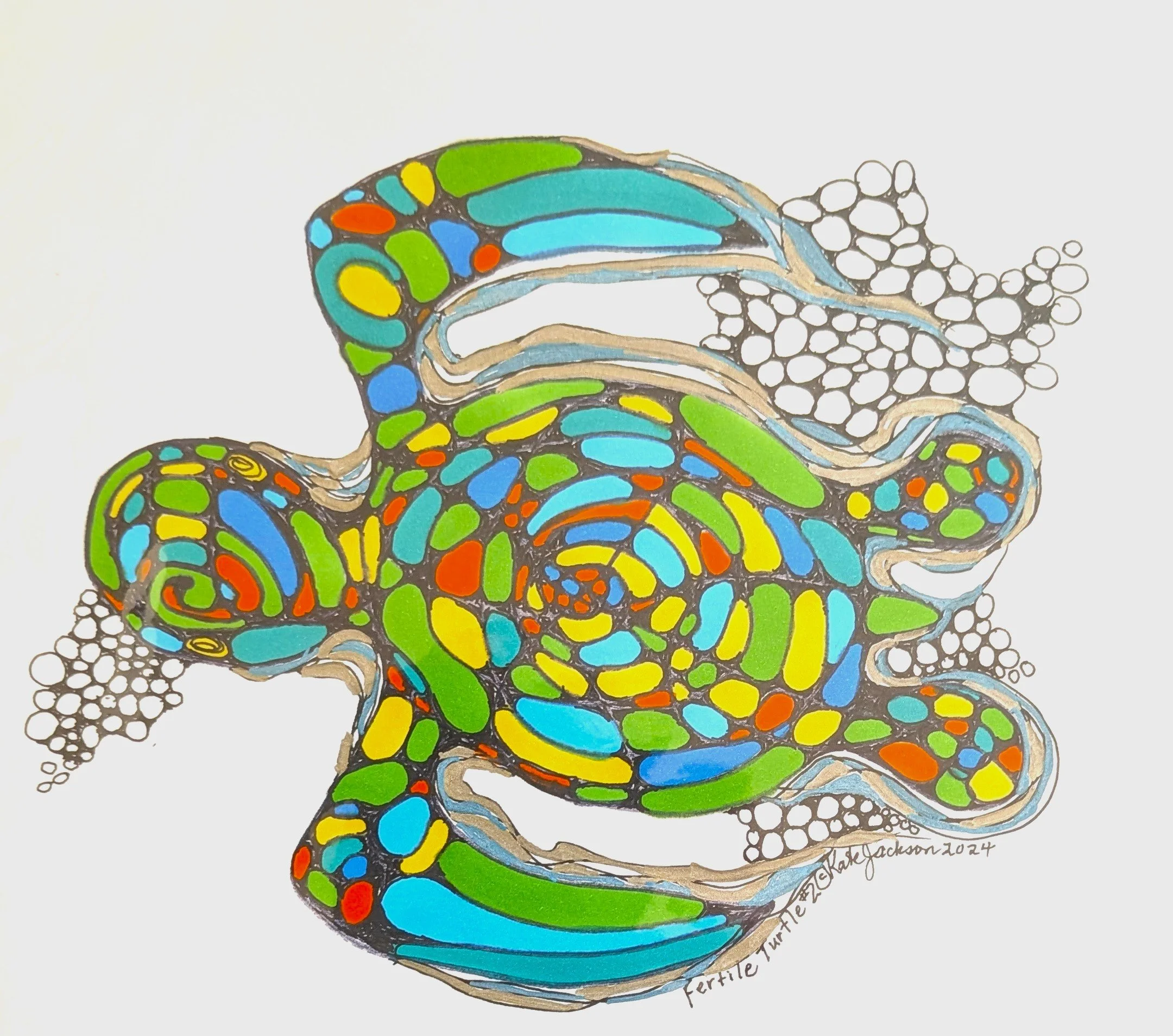Fertile Turtle #2    D1024.jpg