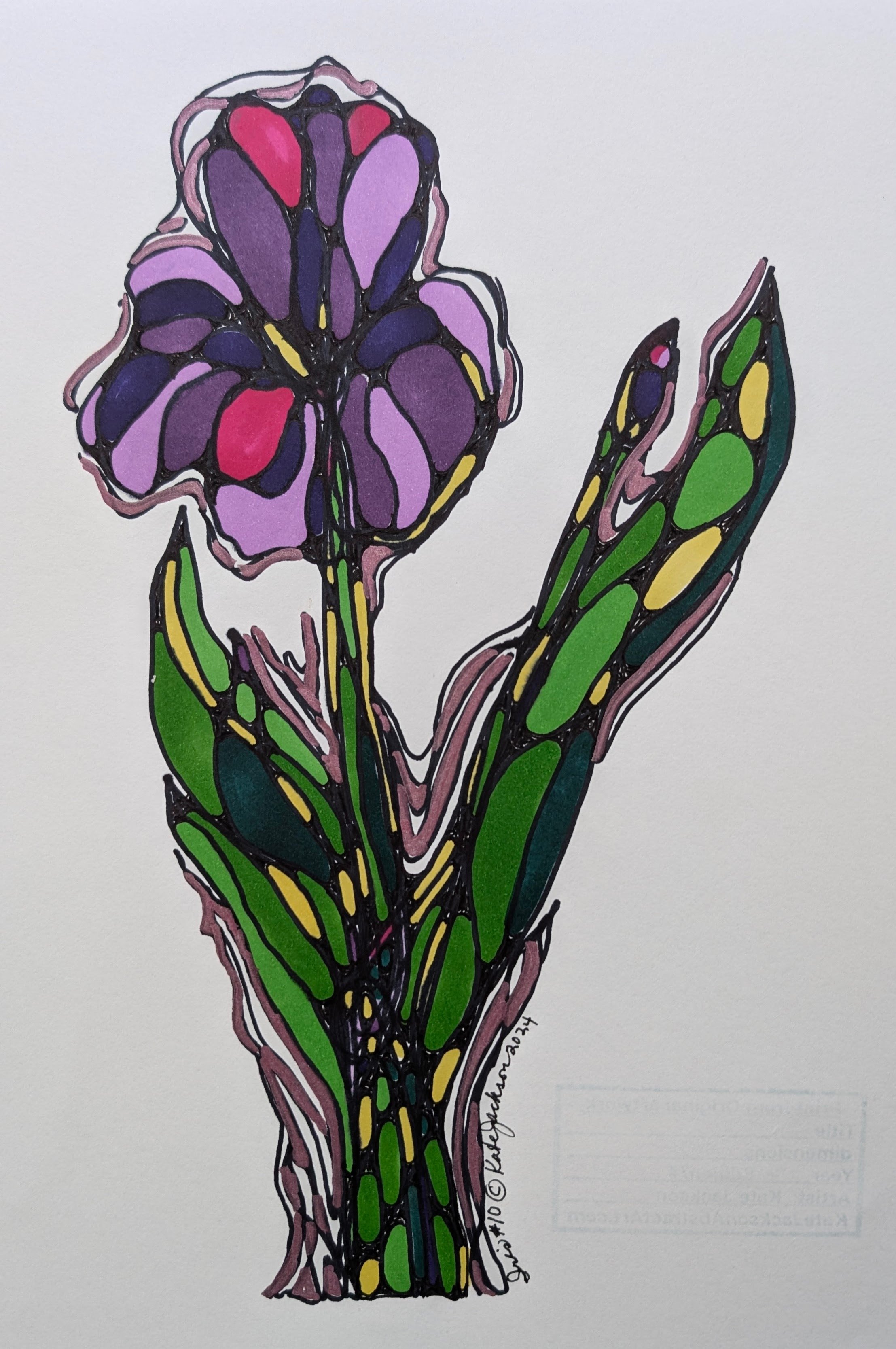 Iris 10.jpg