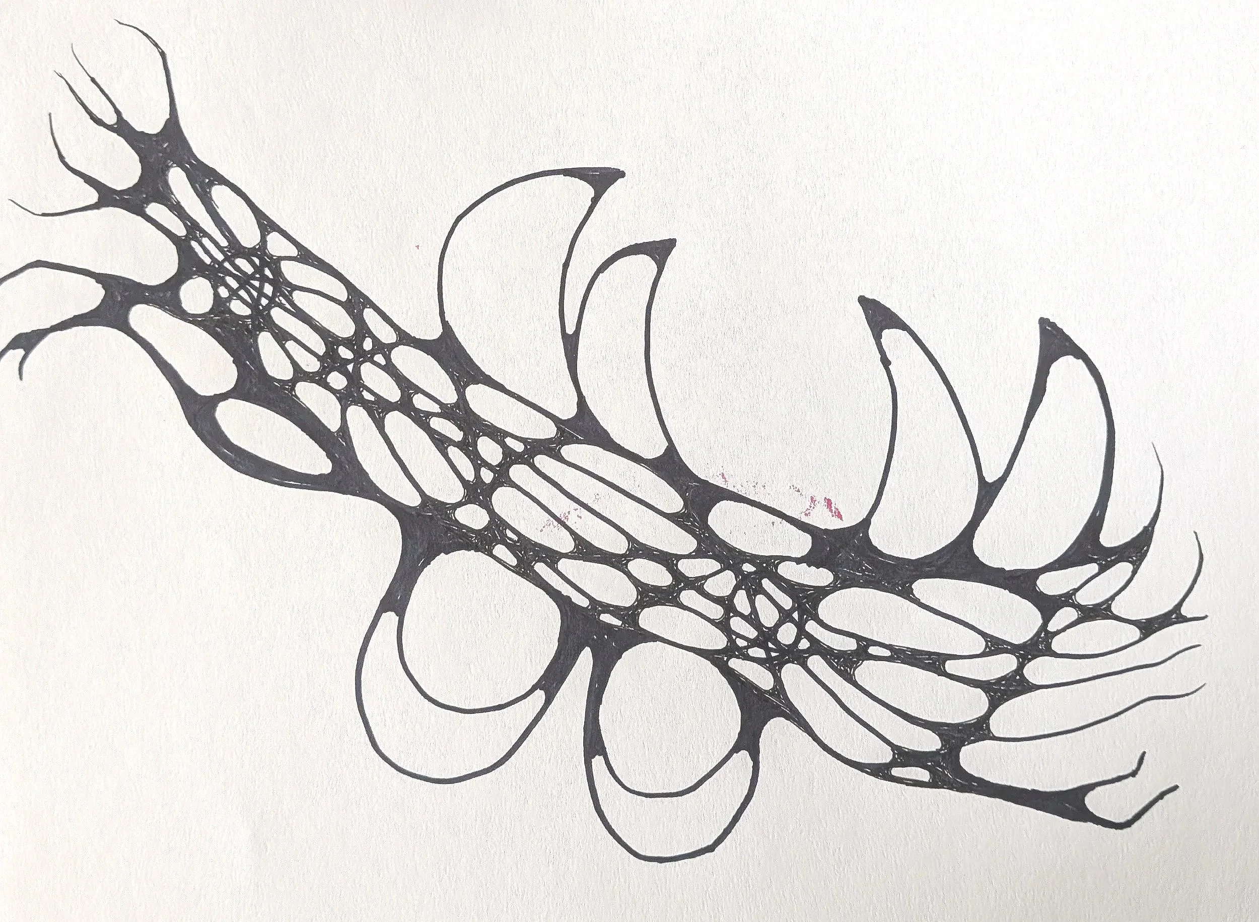 Step 4 drawing process.jpg