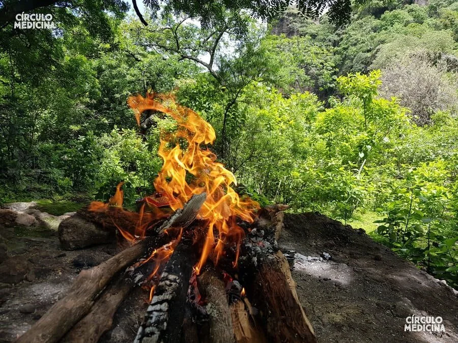 Experiencias (4).jpg