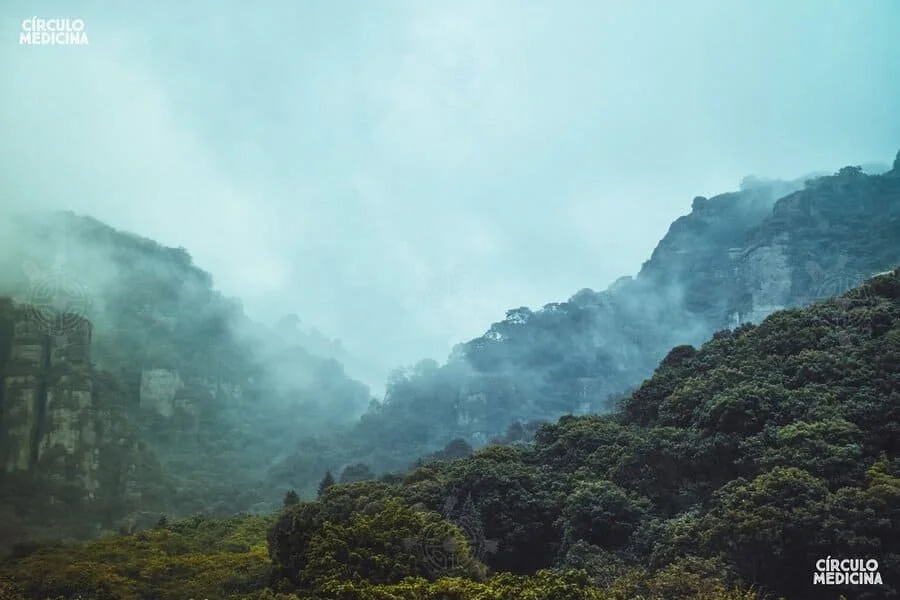 Encuentro_Centro (8).jpg