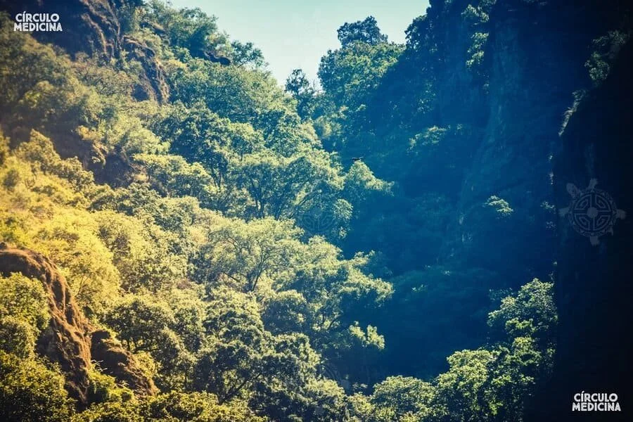 Encuentro_Centro (3).jpg