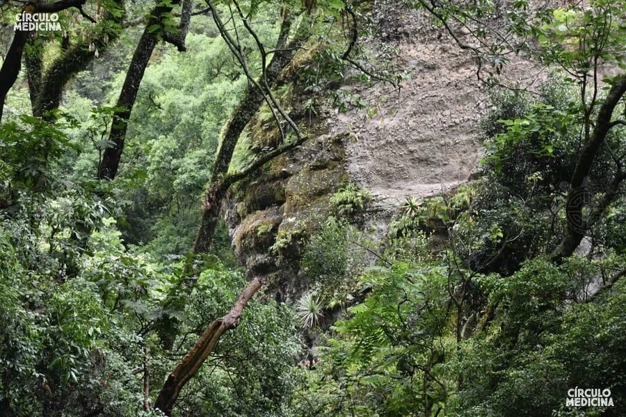 Encuentro_Centro (19).jpg