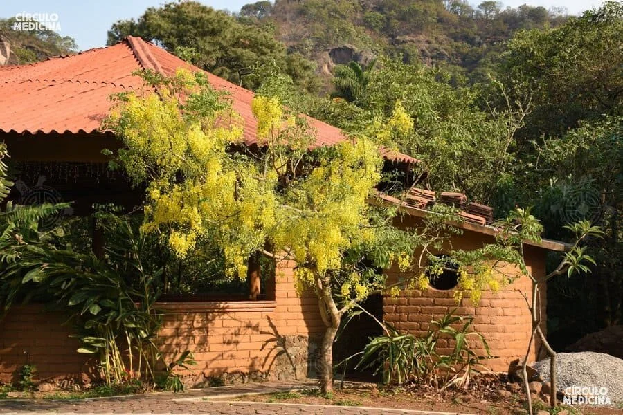 Encuentro_Centro (4).jpg