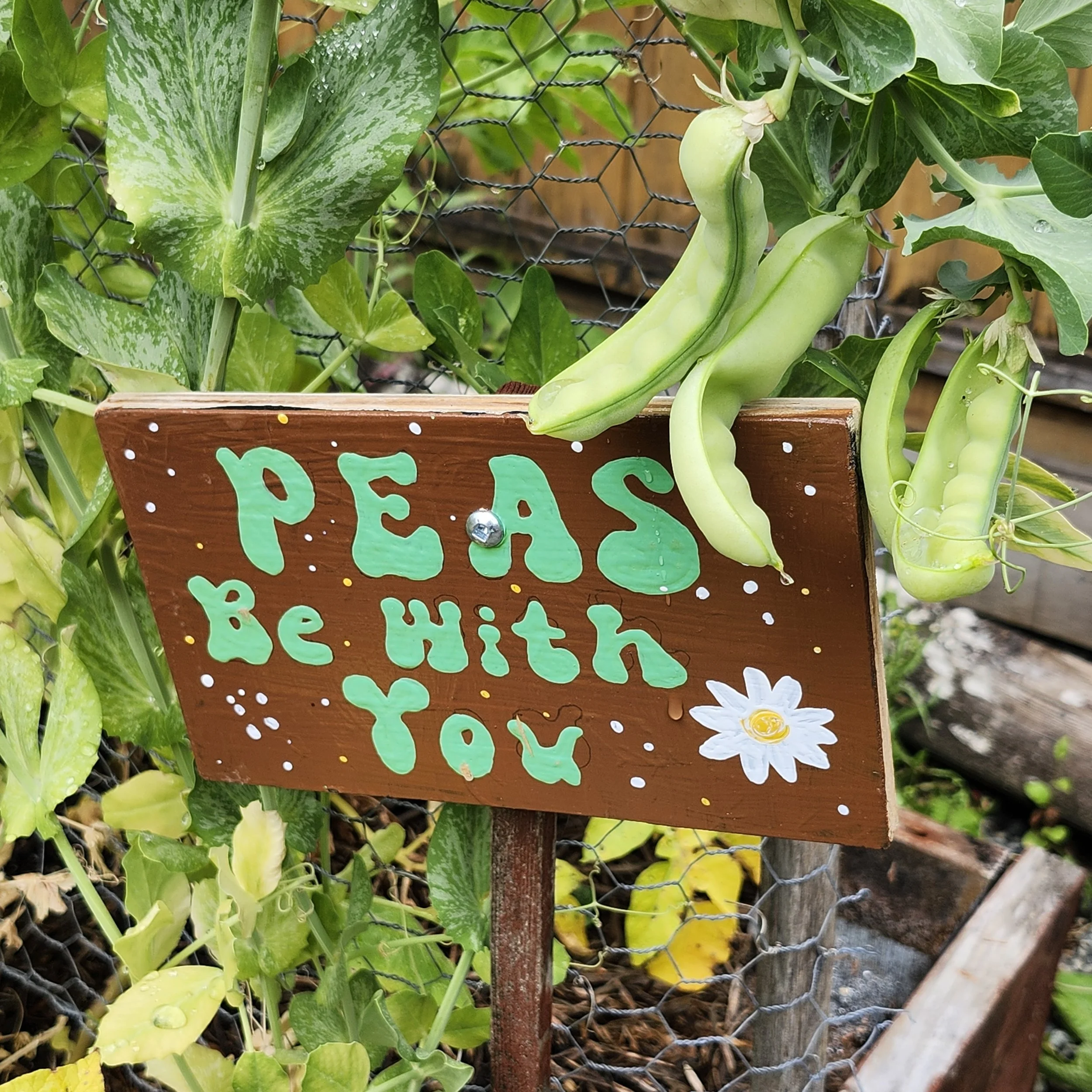 Soroptimist Westshore Garden Tour