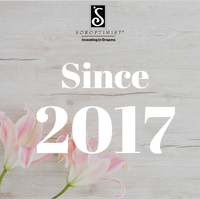 Soroptimist Stella's Lunch Stats