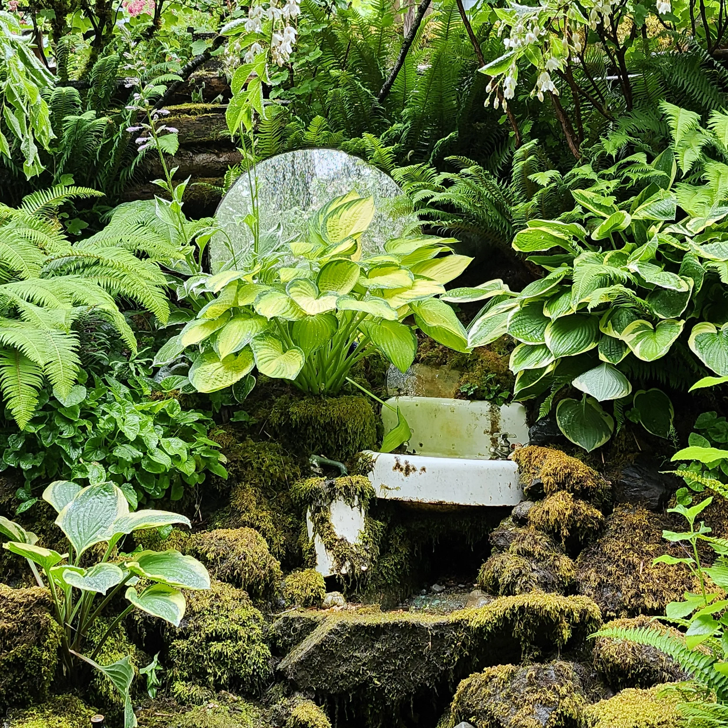 Soroptimist Westshore Garden Tour