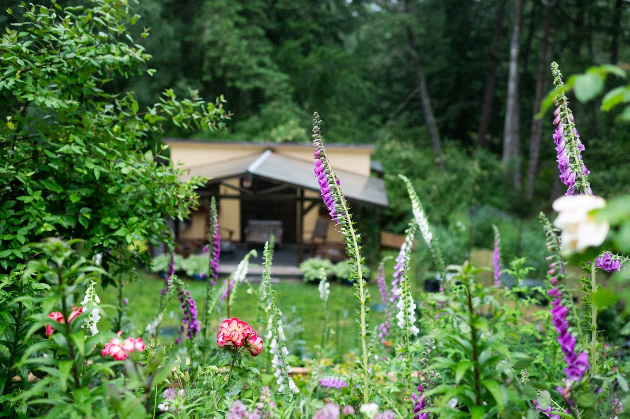 Soroptimist Westshore Garden Tour
