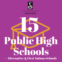 Soroptimist Dream It Be It Stats