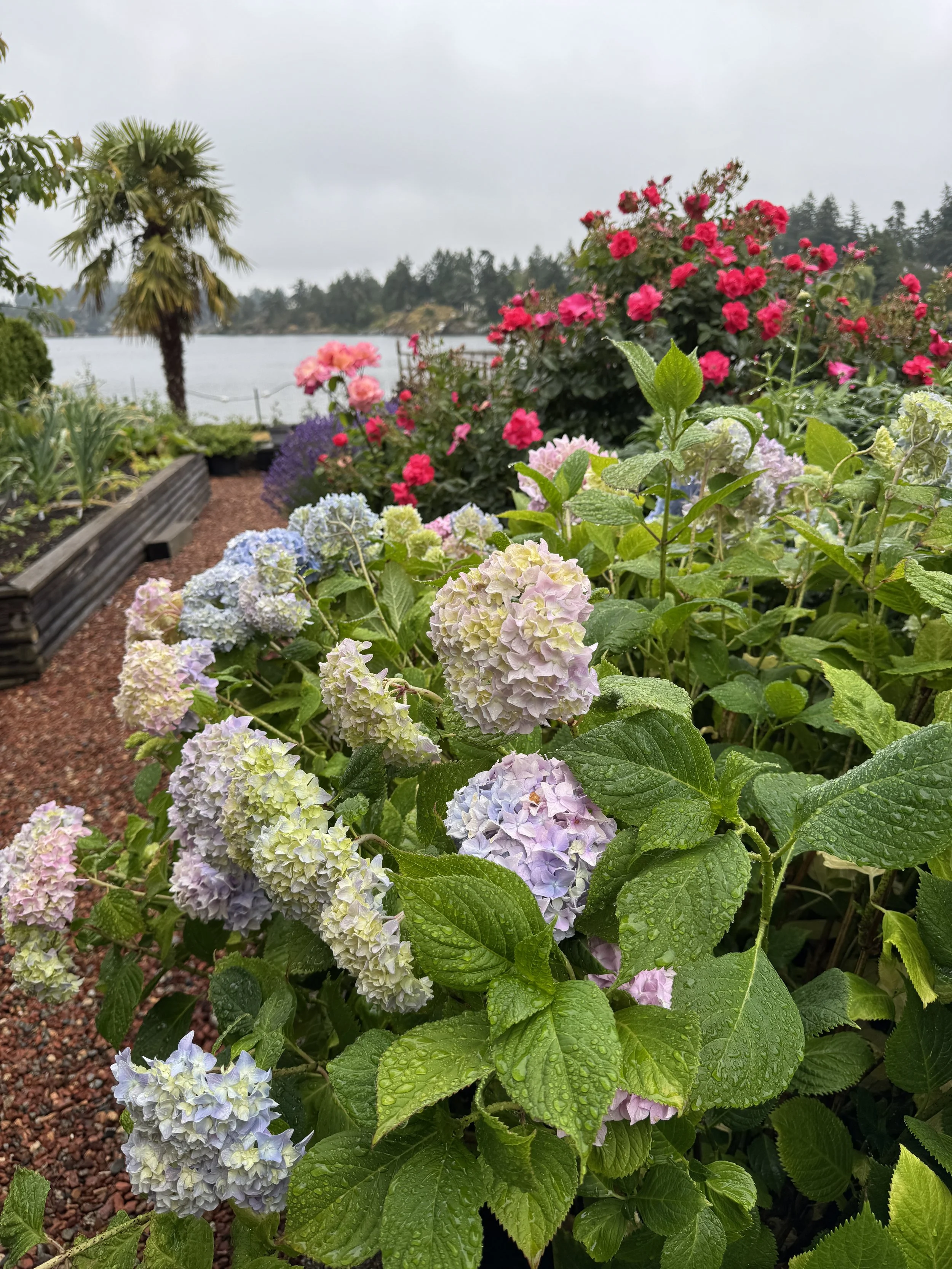 Soroptimist Westshore Garden Tour