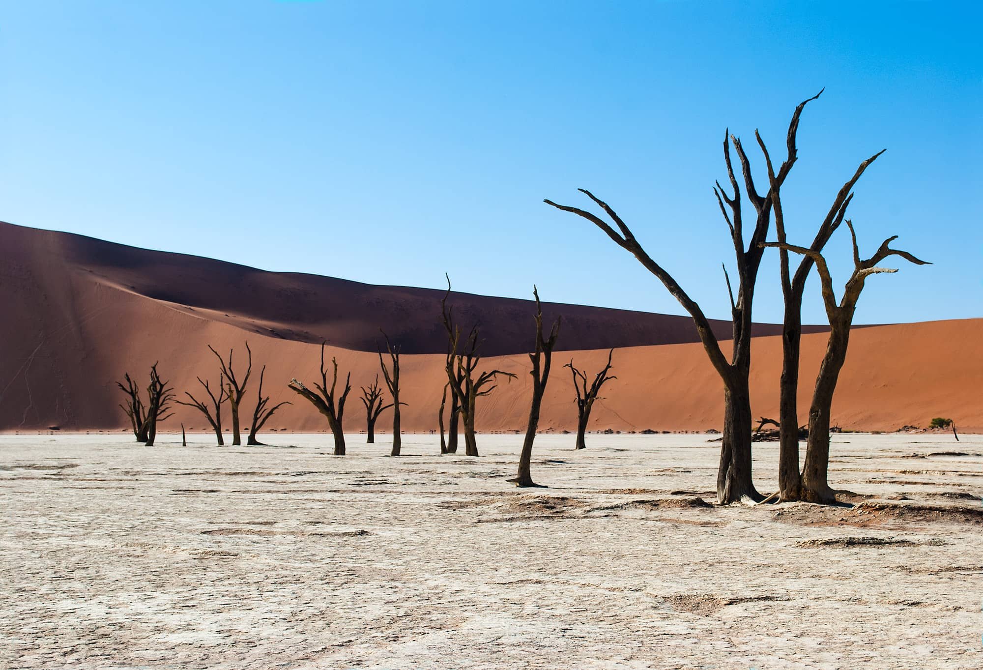 Deadvlei_6295.jpg